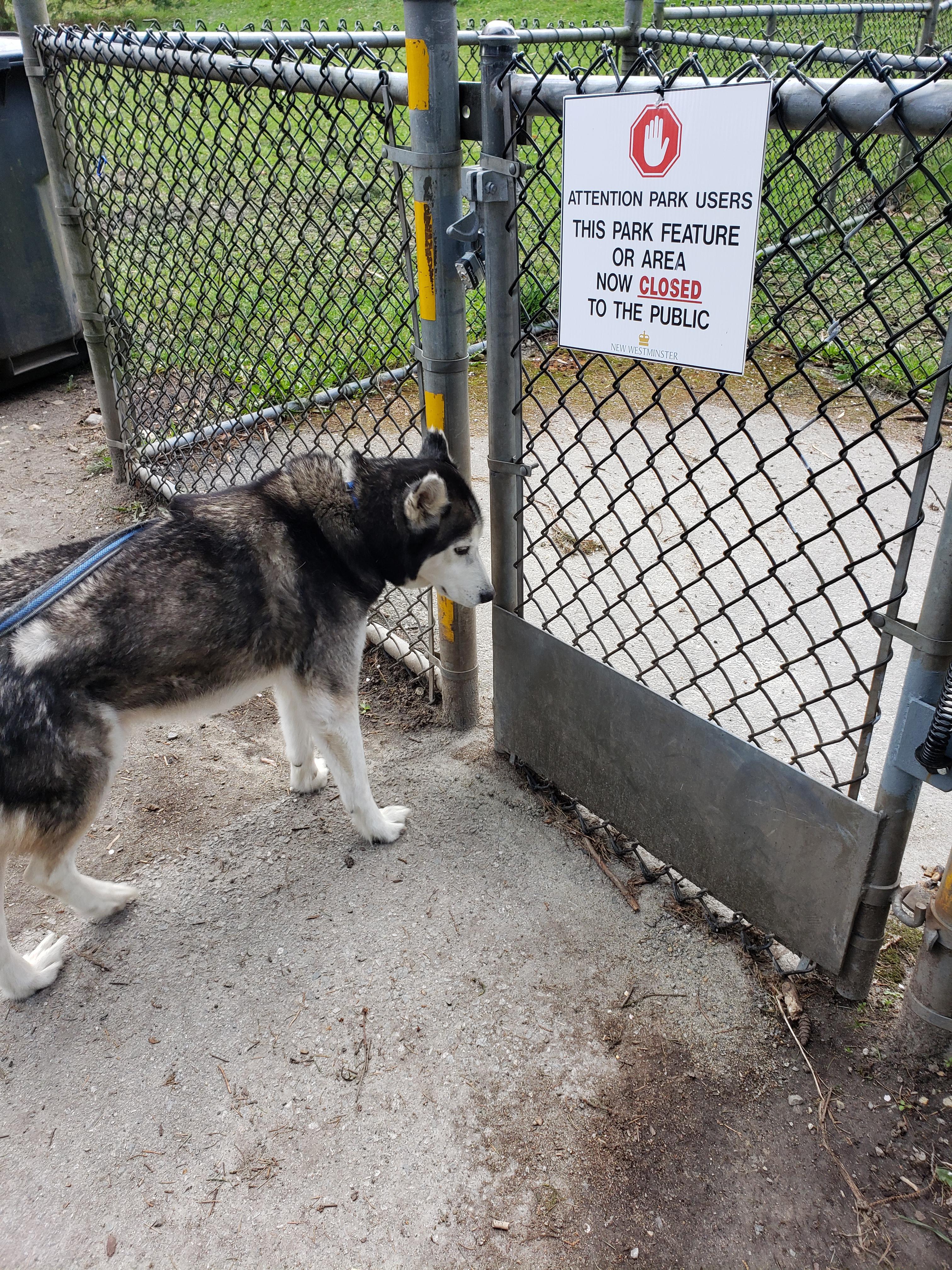 I explained why the dog park was closed but he was still sad. r/pics