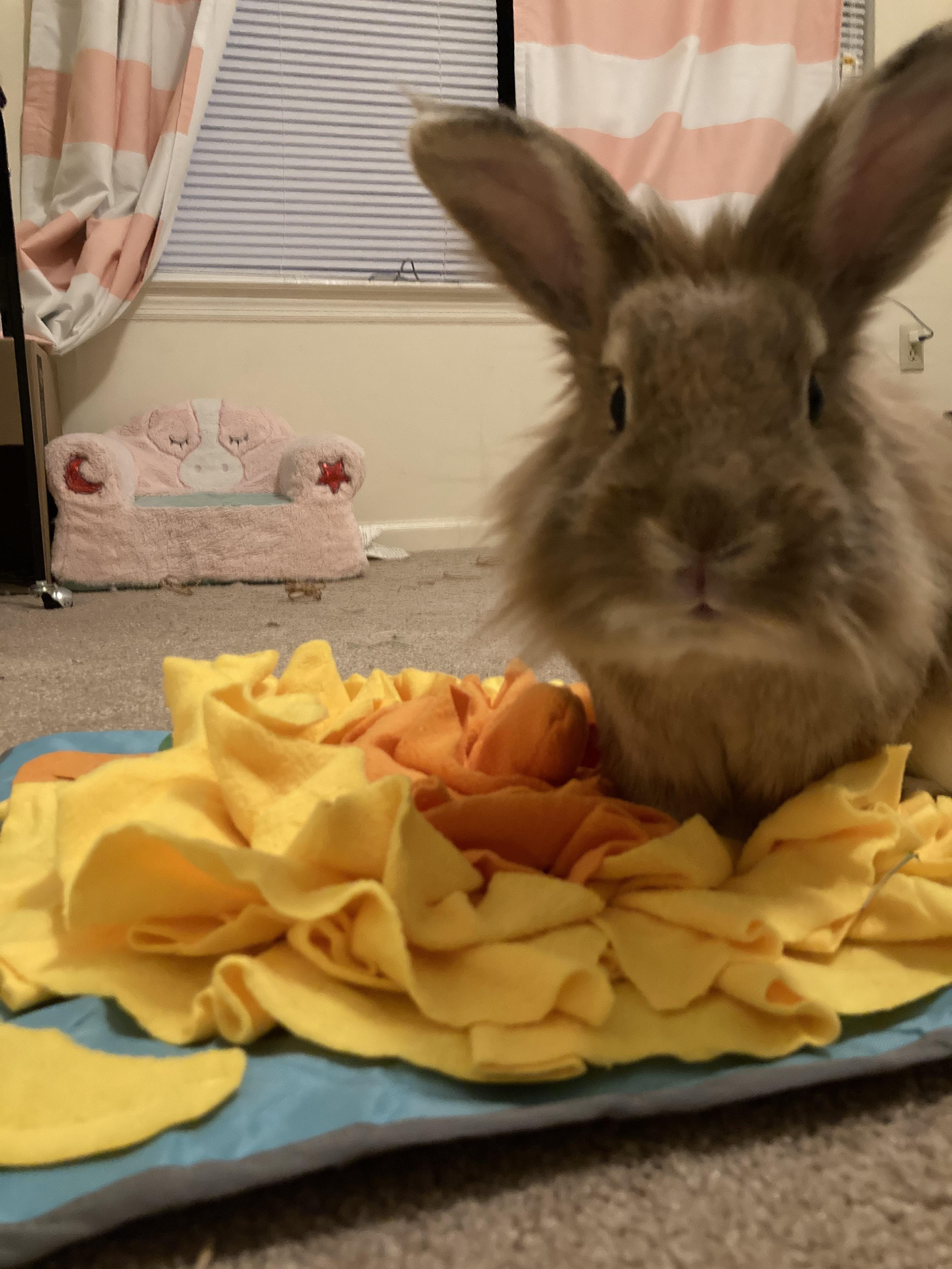 Someone loves his new snuffle mat! r/Rabbits