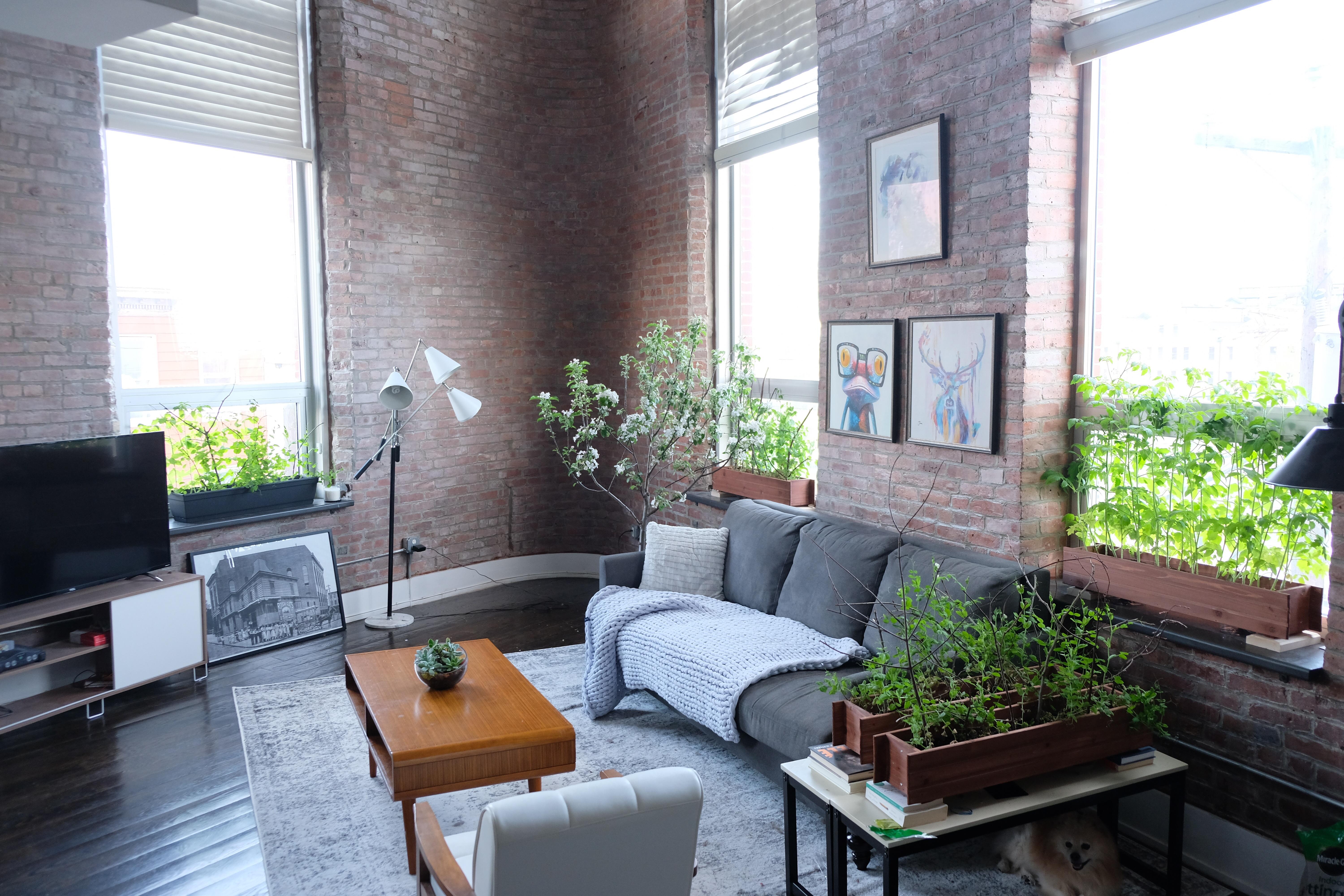 The living room in my new duplex loft Jersey City, NJ r/AmateurRoomPorn