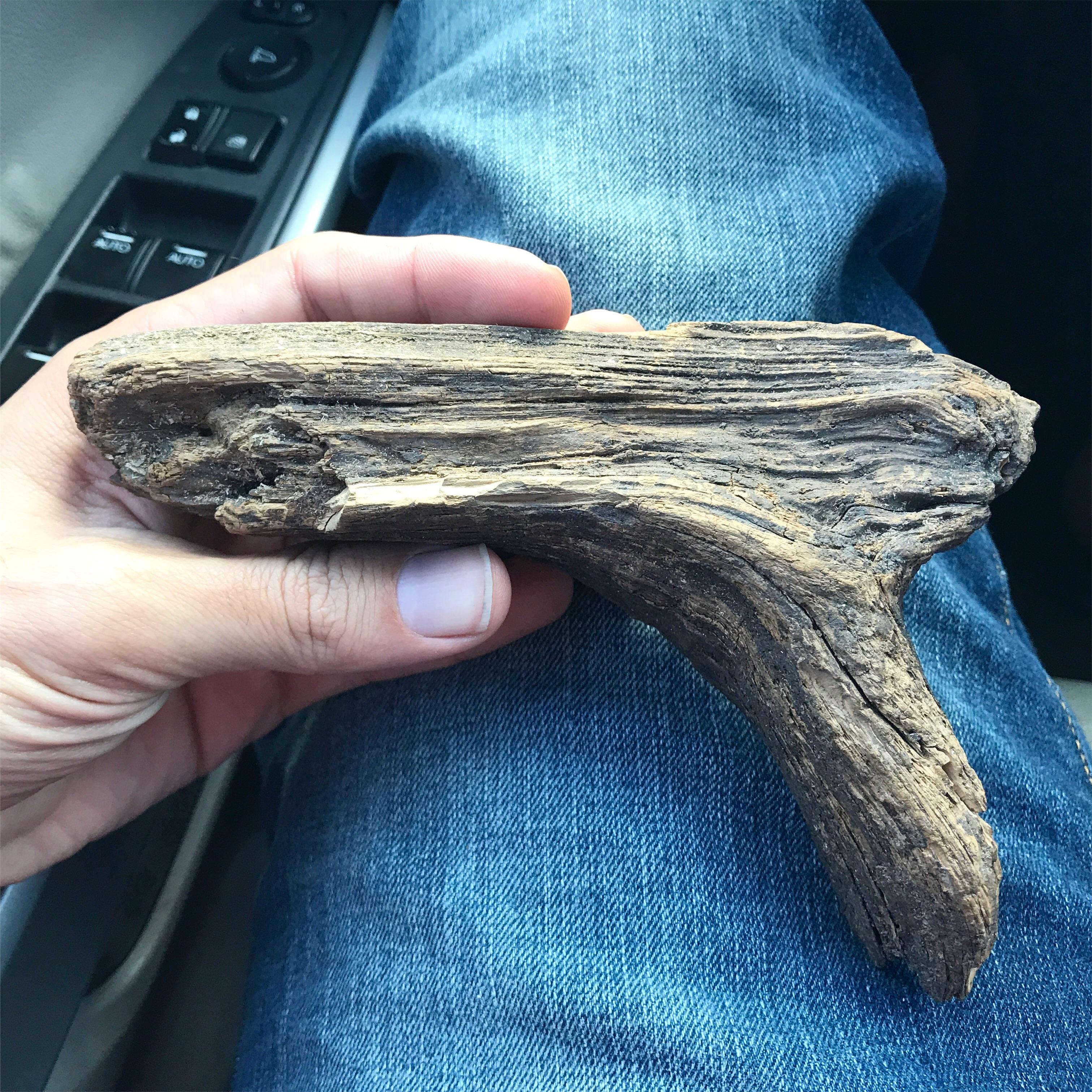 Found the best stick gun ever r/mildlyinteresting