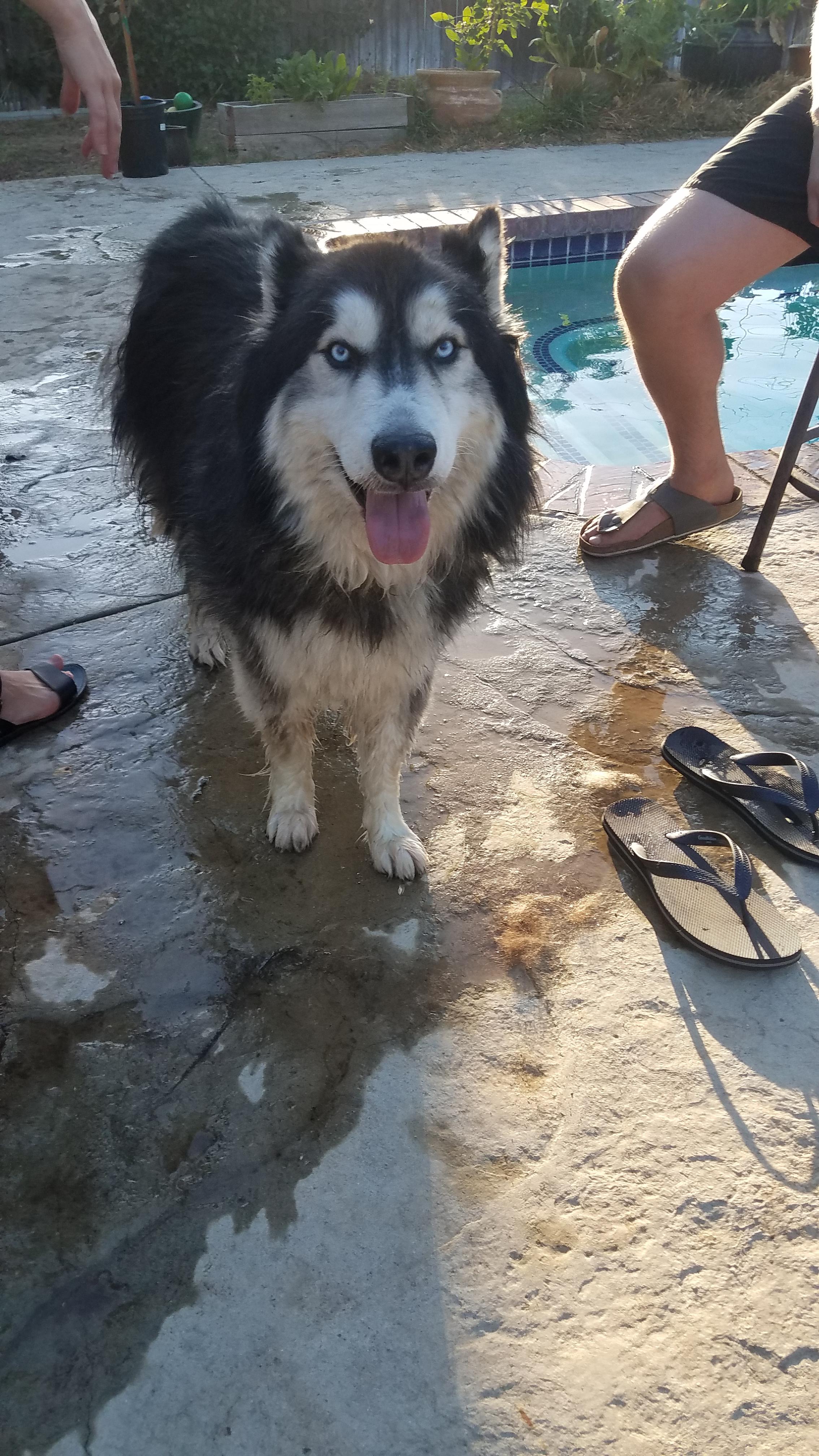 hidden park and stater bros Riverside