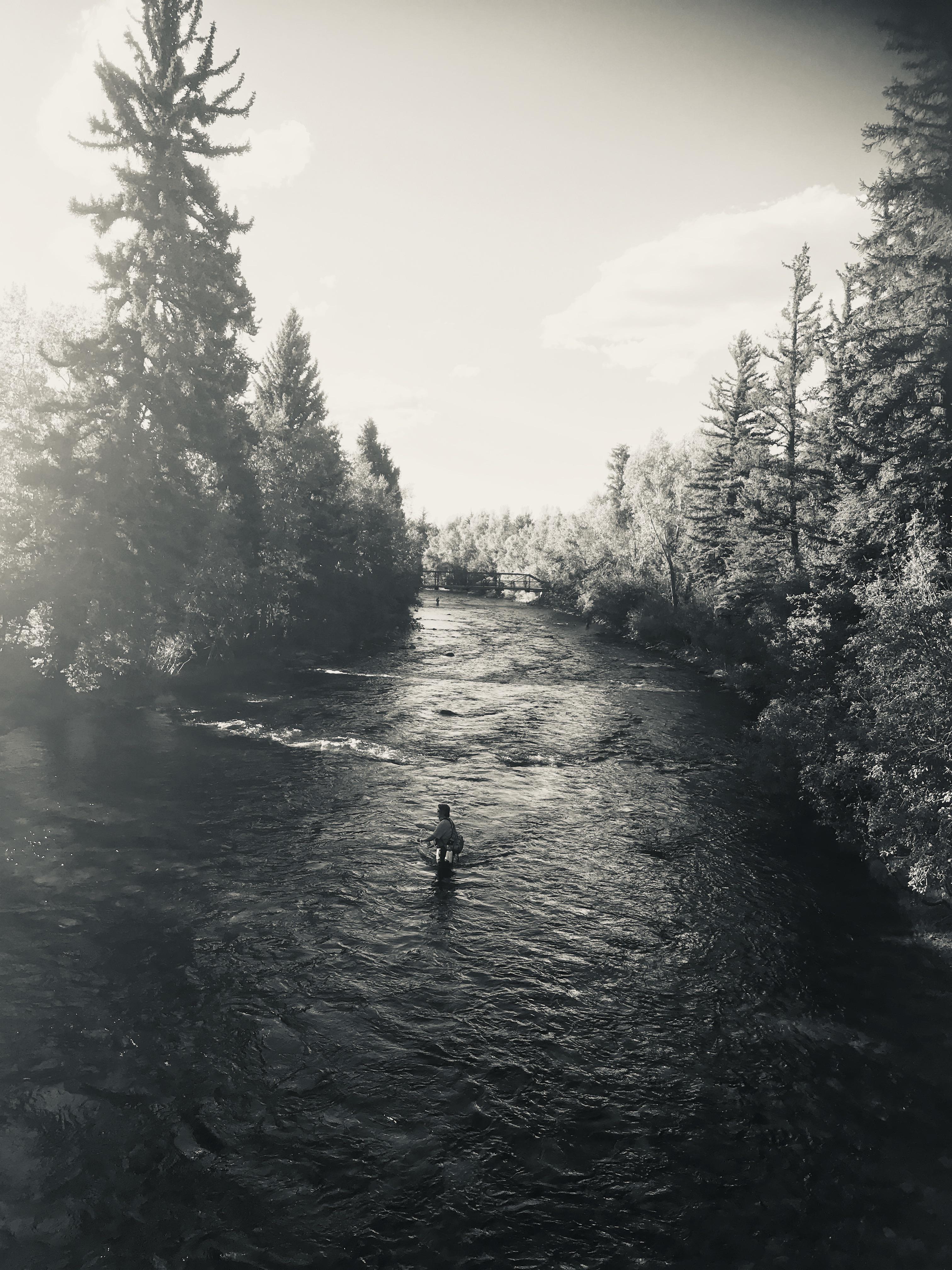 A river runs thru it. Fly fishing on the Blue River at Silverthorne