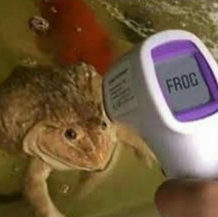 Poke getting his temperature taken before he gets on the plane to Texas