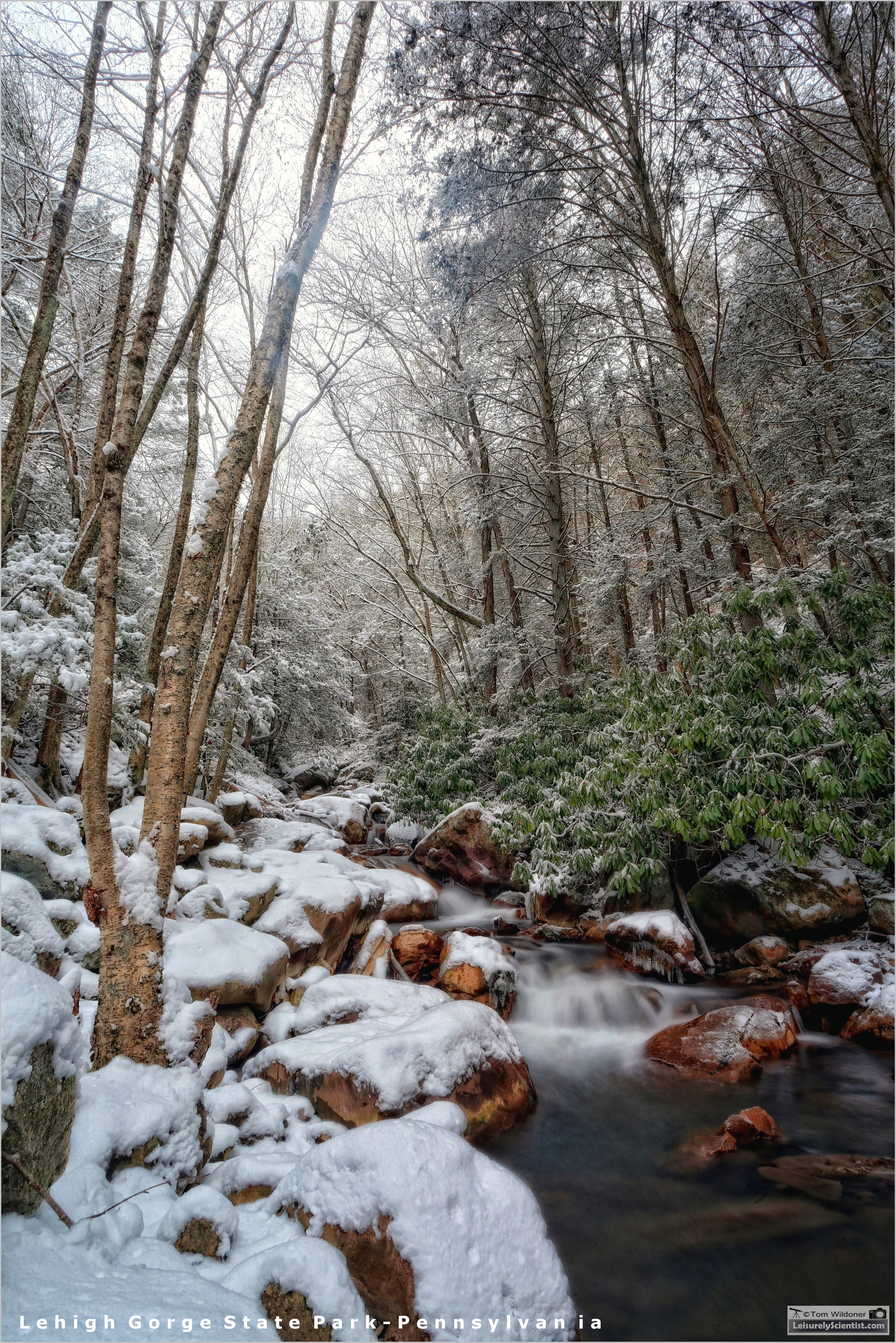[3658x5482] Buck Mountain Creek, Carbon County, Pennsylvania /r