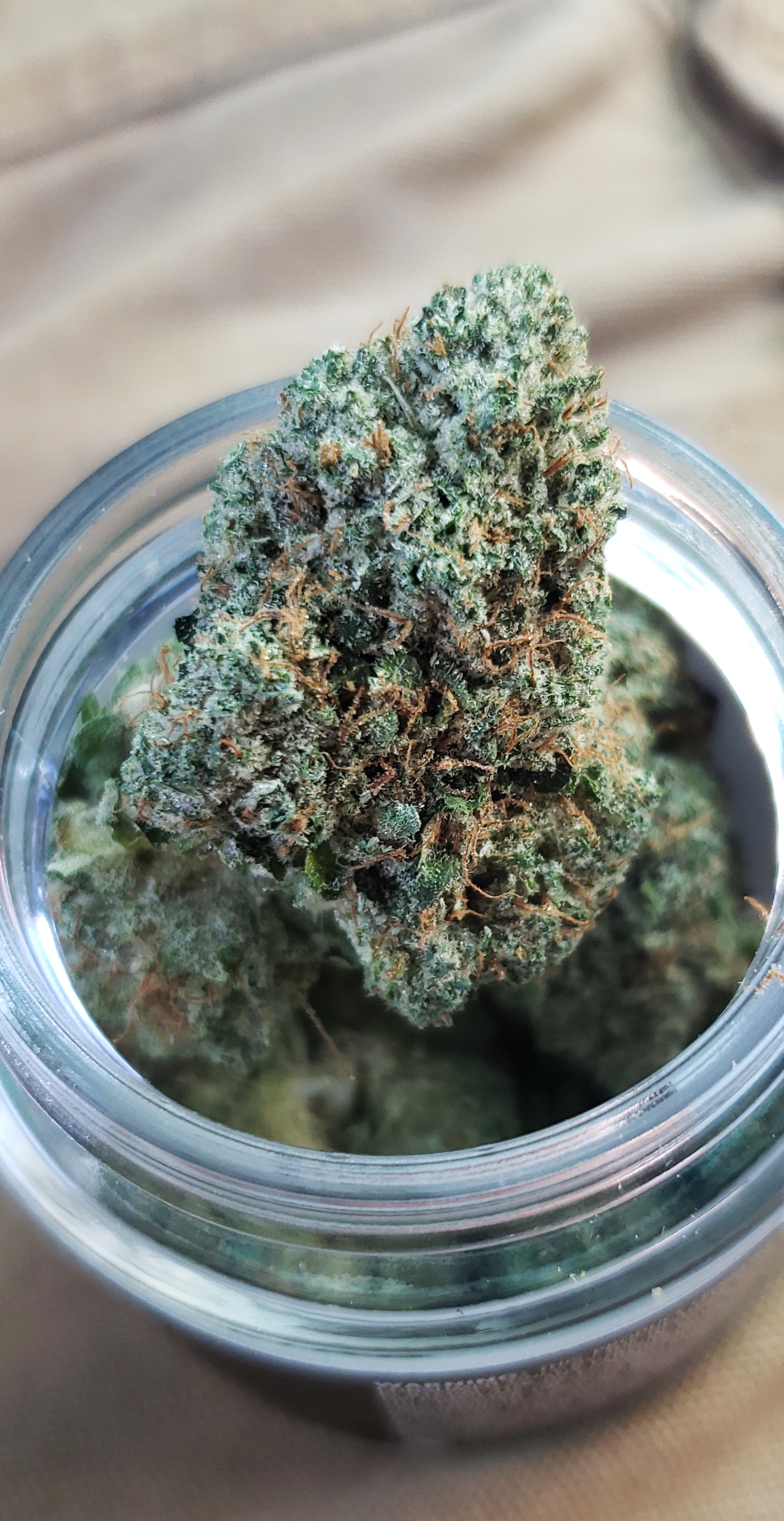 Island og 5 straight grapefruit gas r/MDEnts