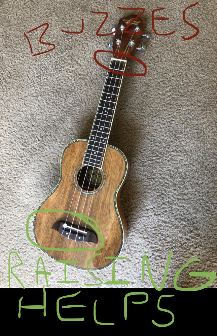 Ideas for fixing buzz r/ukulele