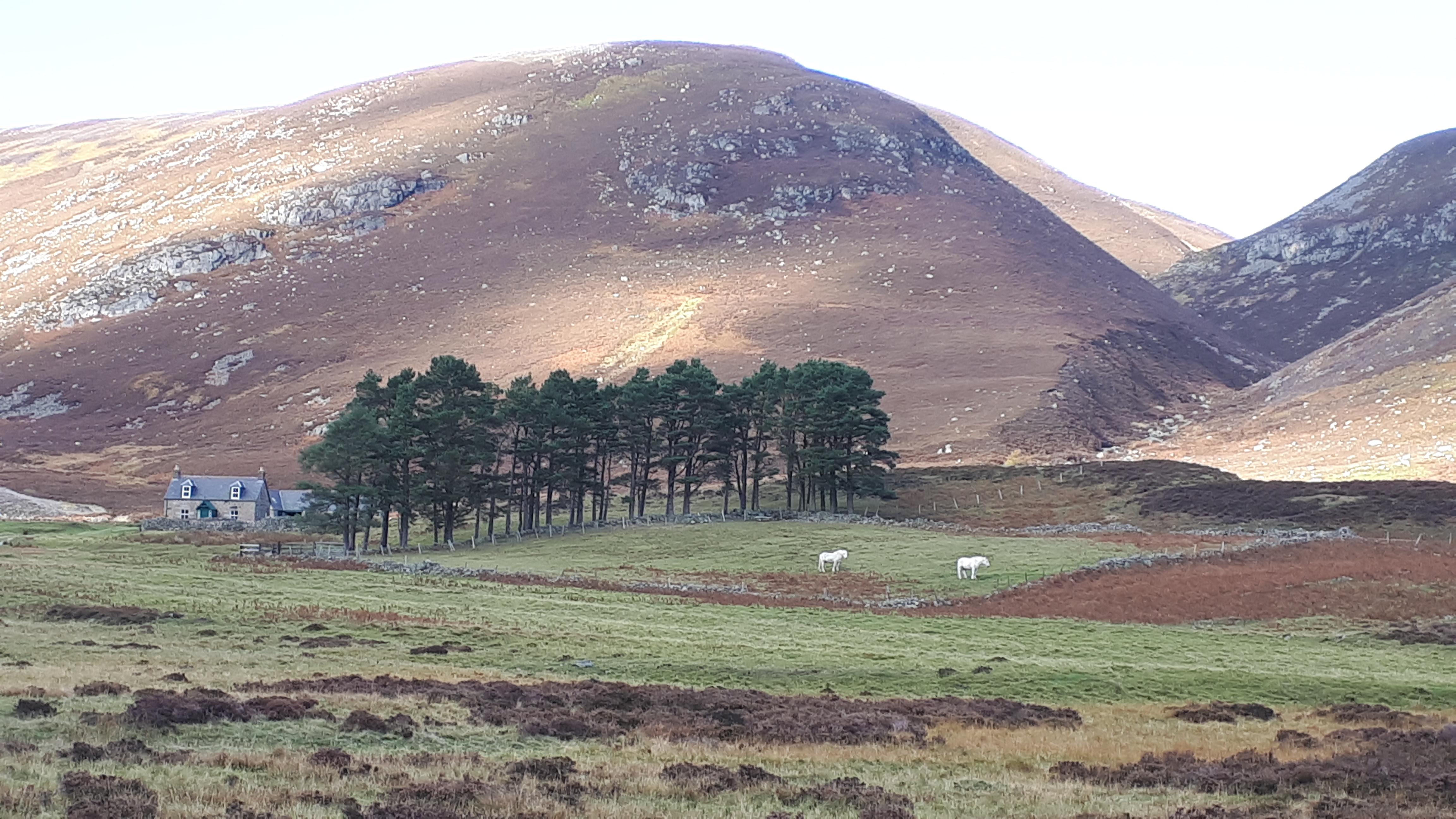 A little house on my way to mount keen, supposed to be the inspiration for the last safe house