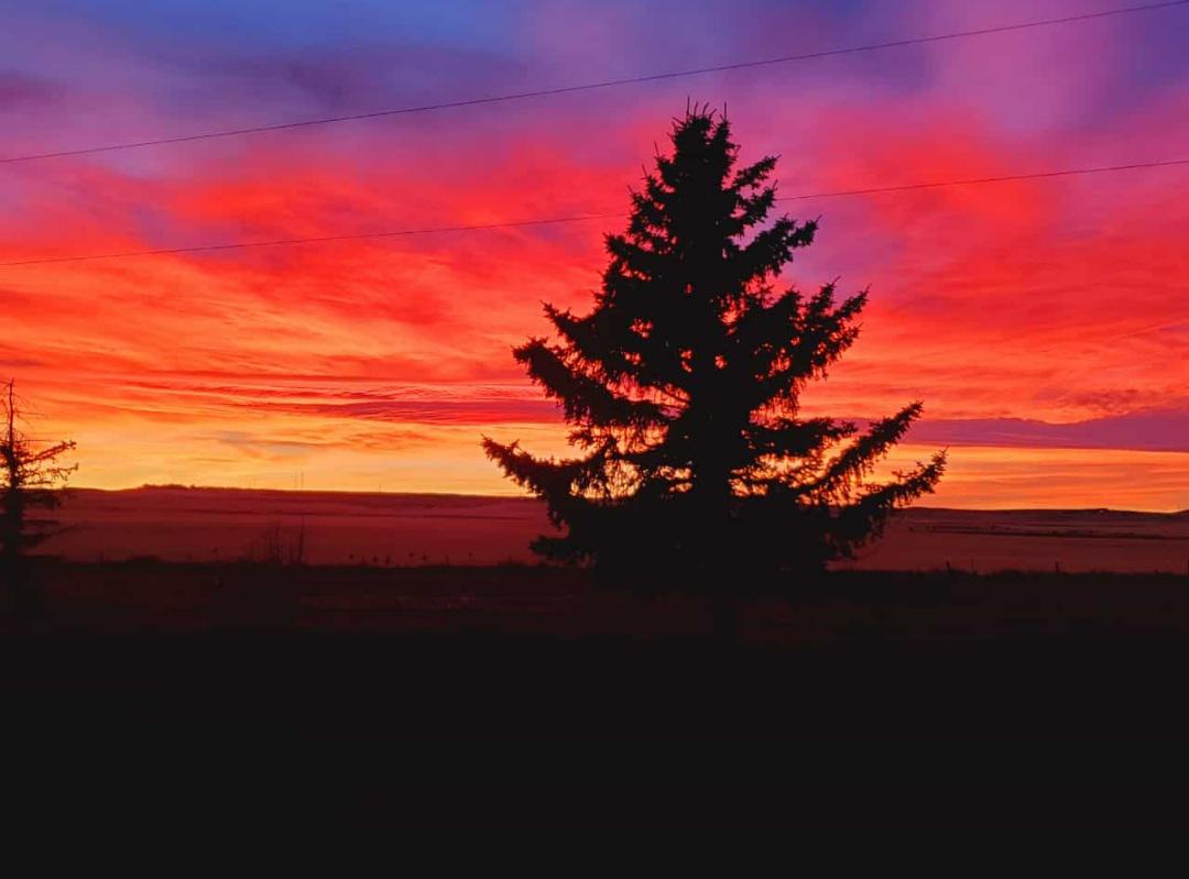 Calgary Alberta sunset (Photo credit to u/Zauberhorn) r/PuzzlePics