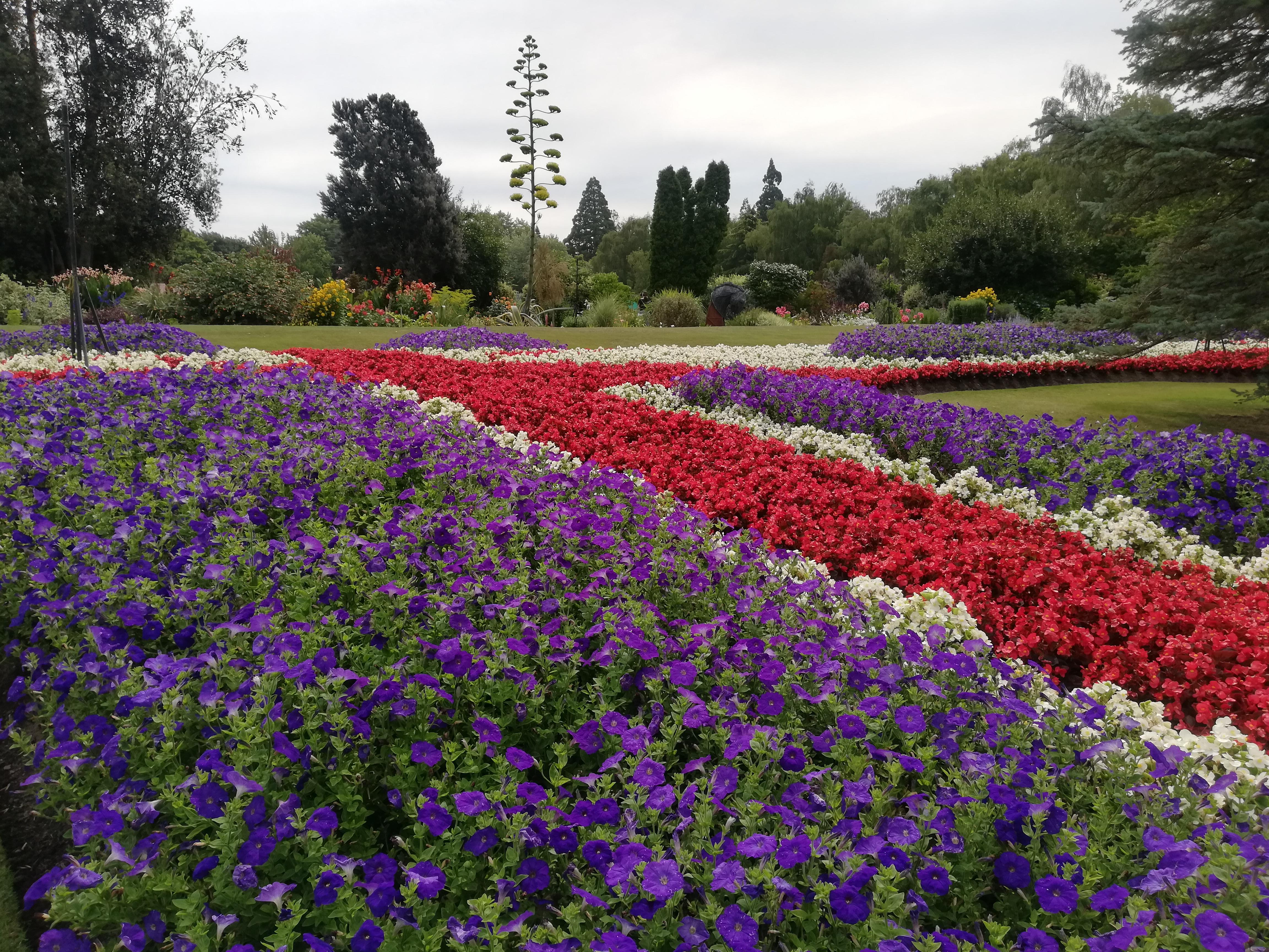 Pollard Park. Blenheim, New Zealand. r/gardening