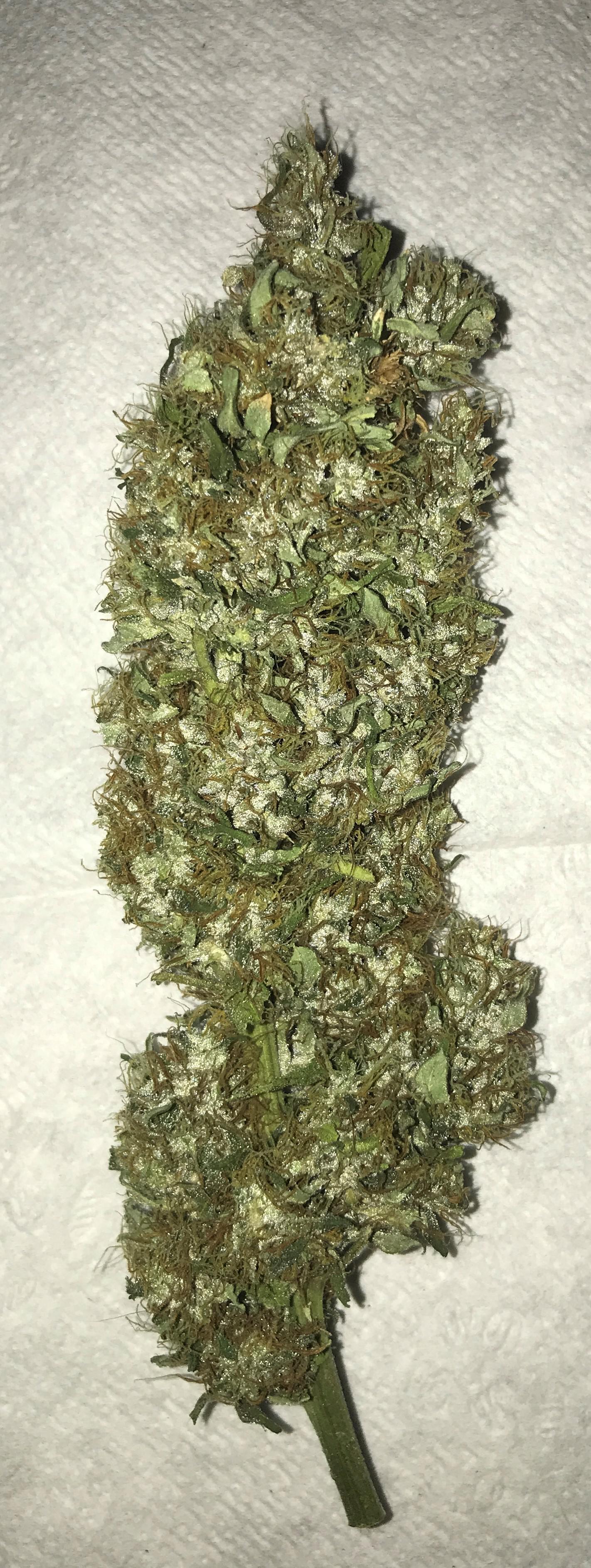 Sour Joker. Crystalline happiness. r/trees