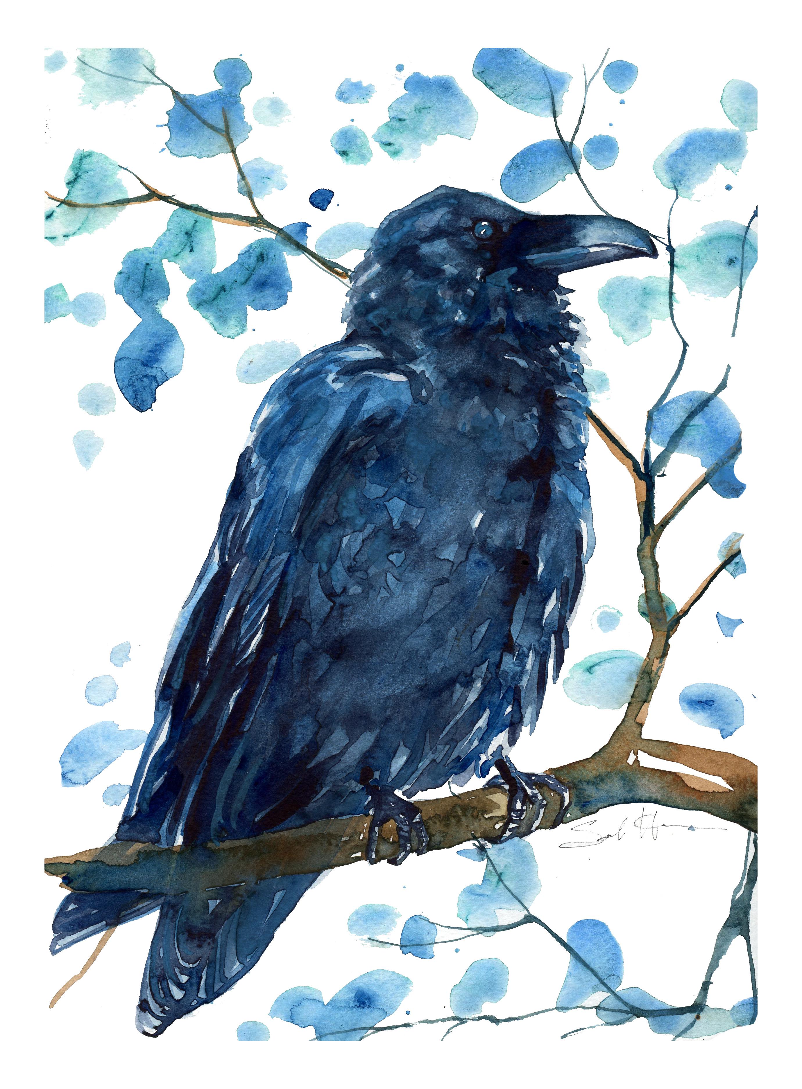 Raven, watercolors r/painting