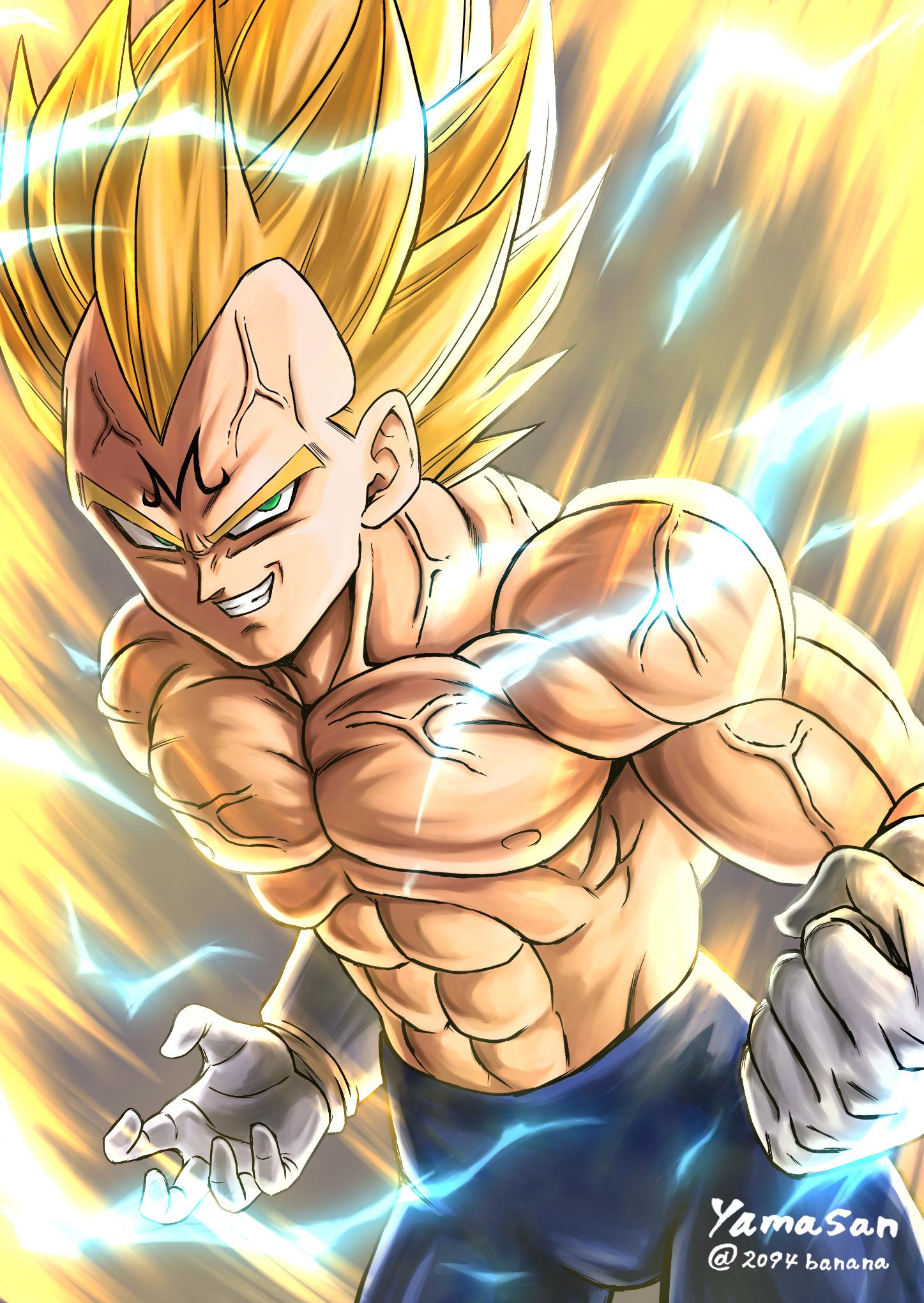 Vegeta by Yamasan r/dbz