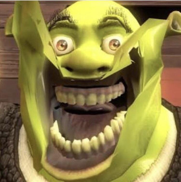 Please share if you believe that Shrek 5 should be animated entirely on