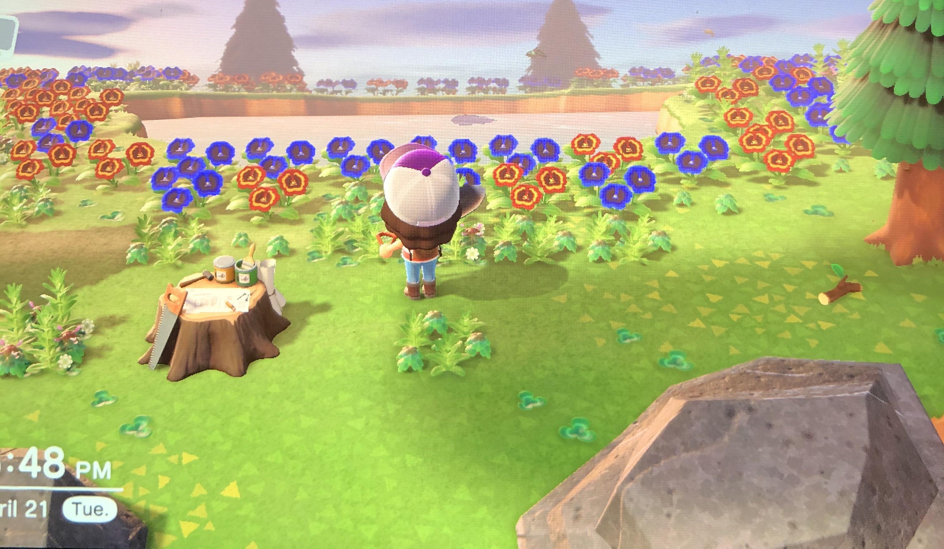 I got a rare flower island r/AnimalCrossing
