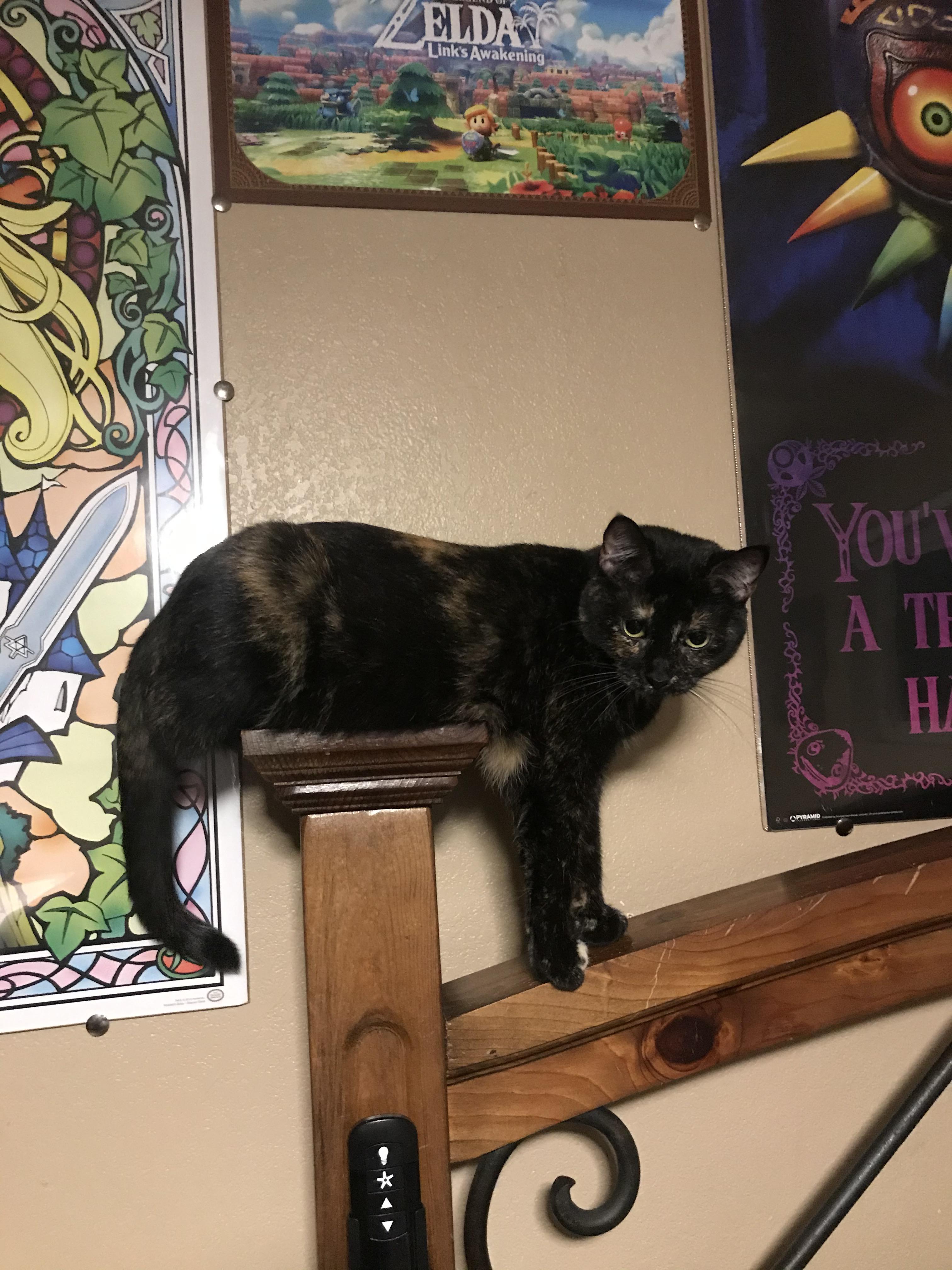 You can sit or you can stand, but you can’t do both. My