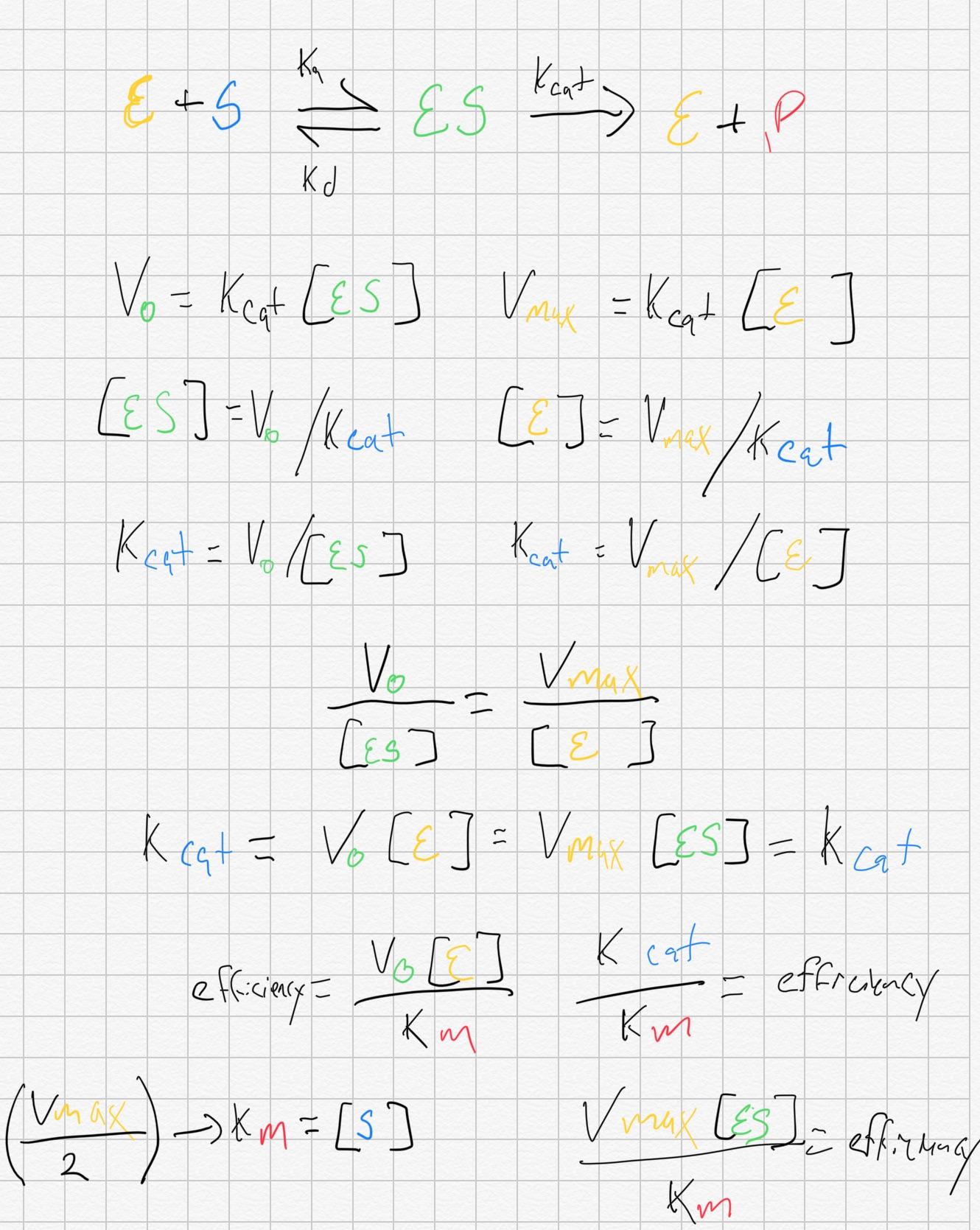 Some enzyme derivations for y'all r/Mcat