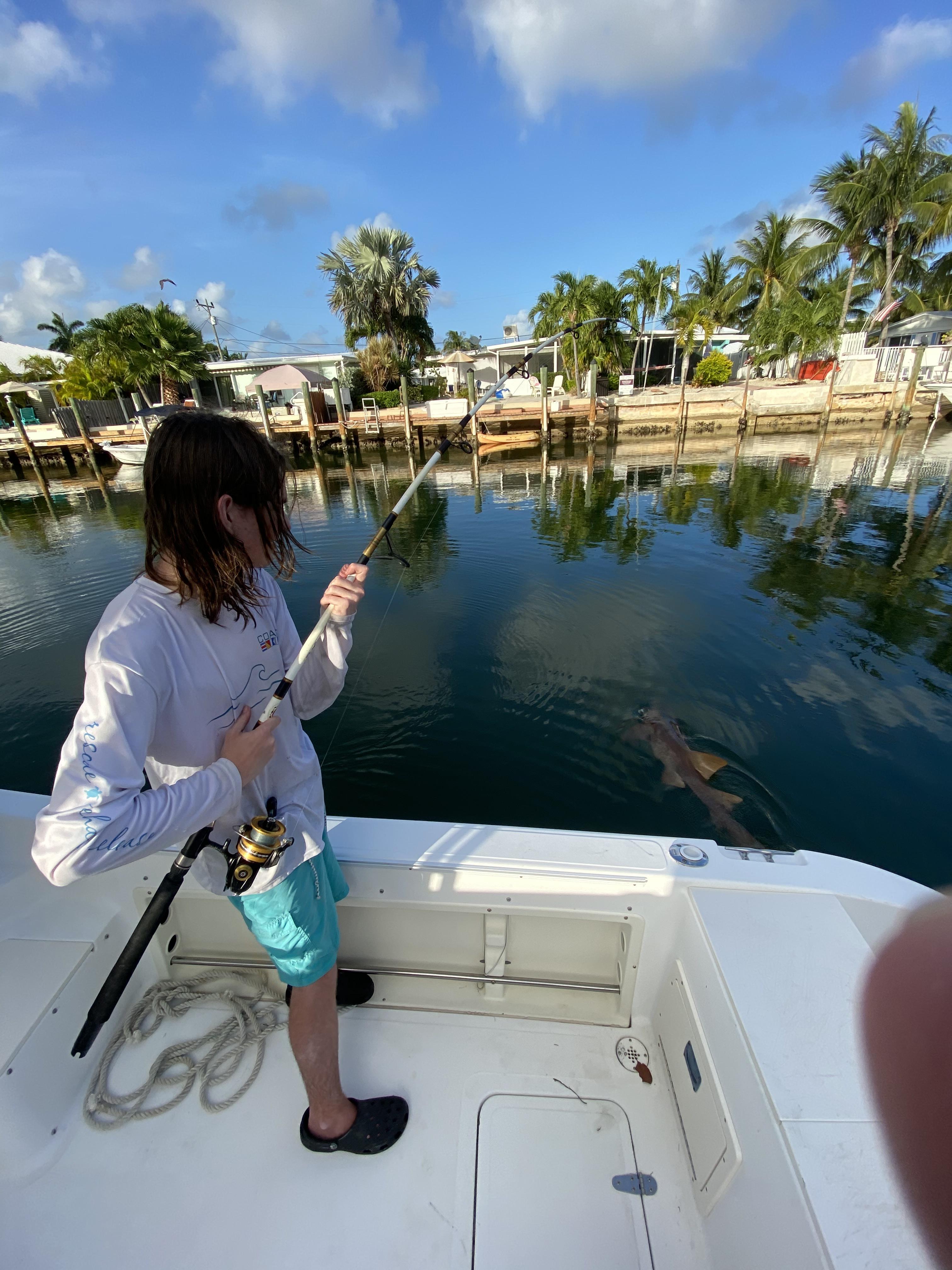 6 foot nurse shark from Key Colony Beach the other day r/floridakeys