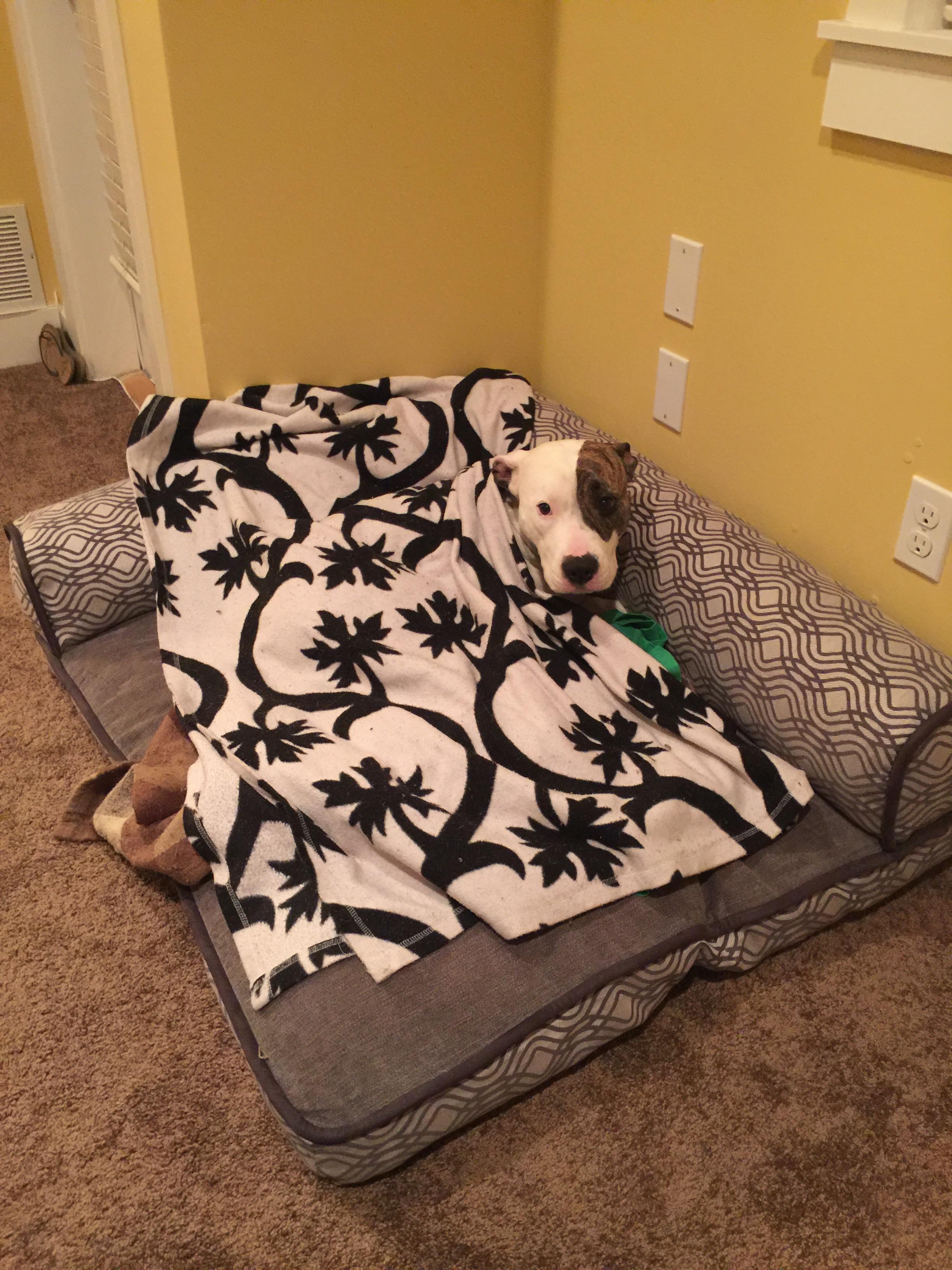 She huffs and puffs and pushes her blankets around until we tuck her in