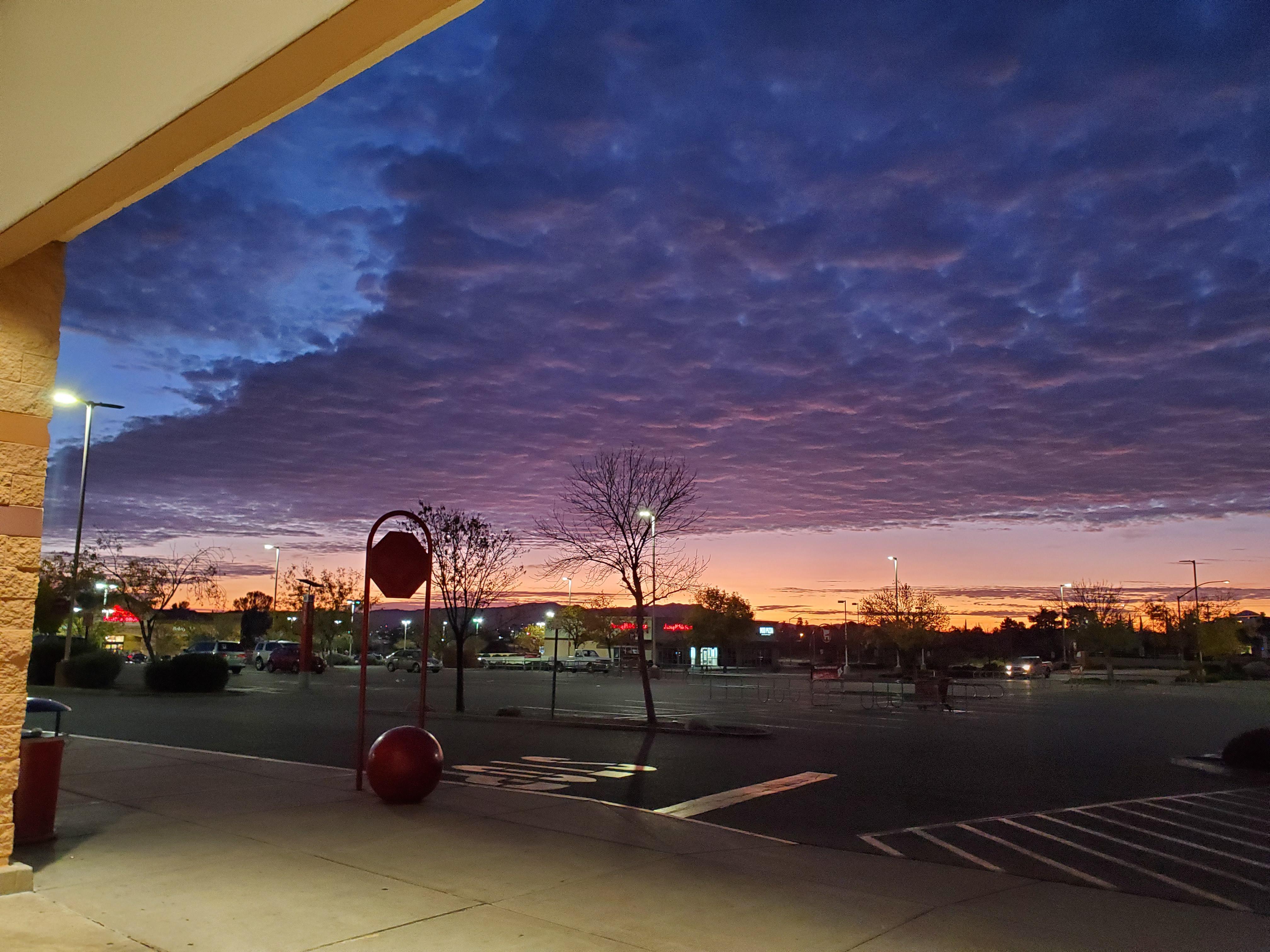 overview for totopig3