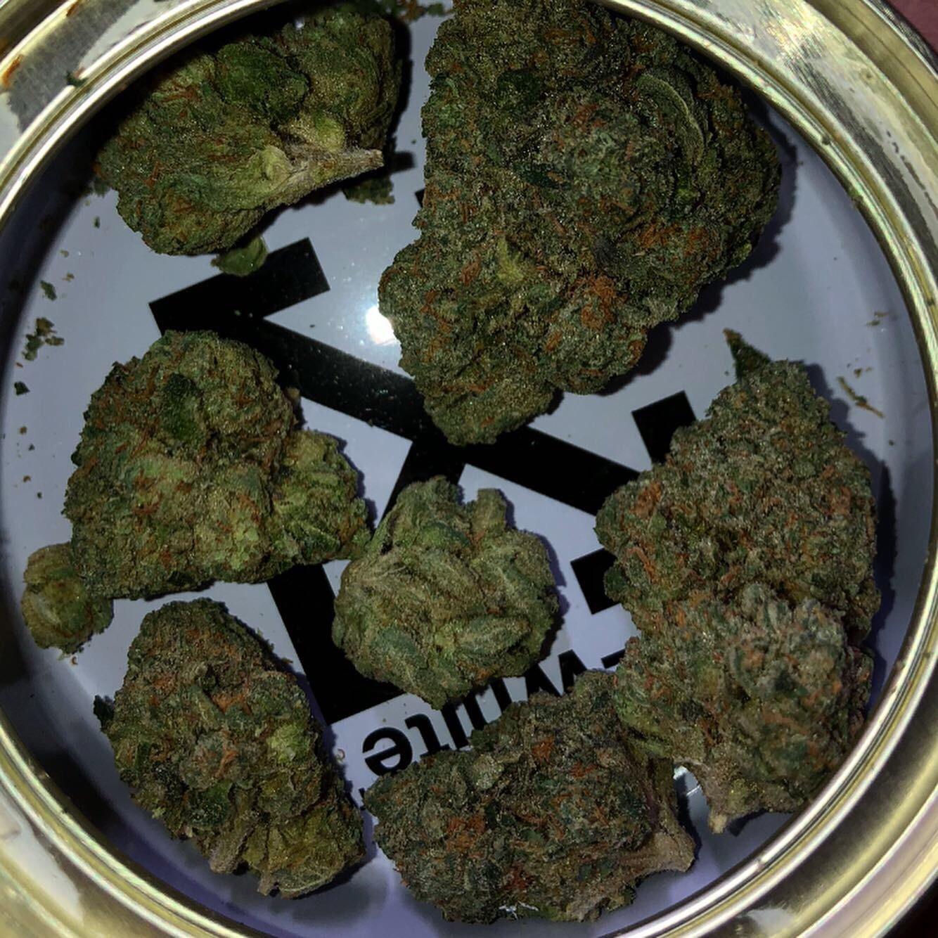 JetLato (Jet Fuel OG x Gelato) r/weed