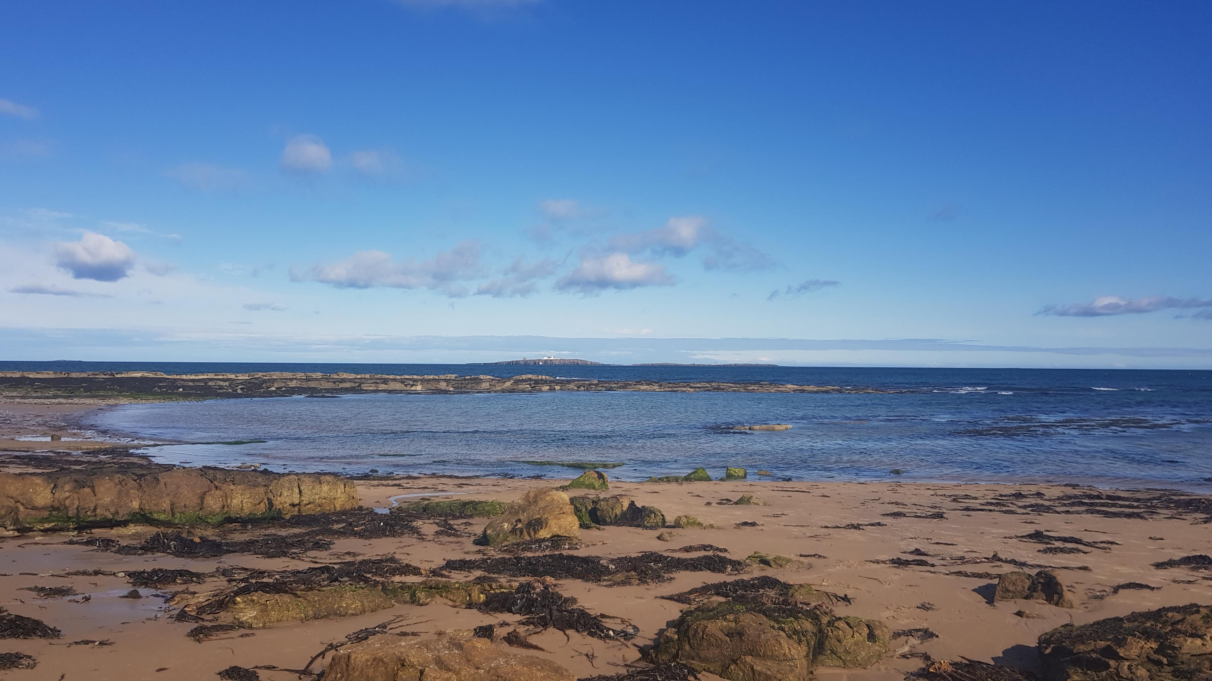 After yesterdays rain storms, i didn't expect weather like this today