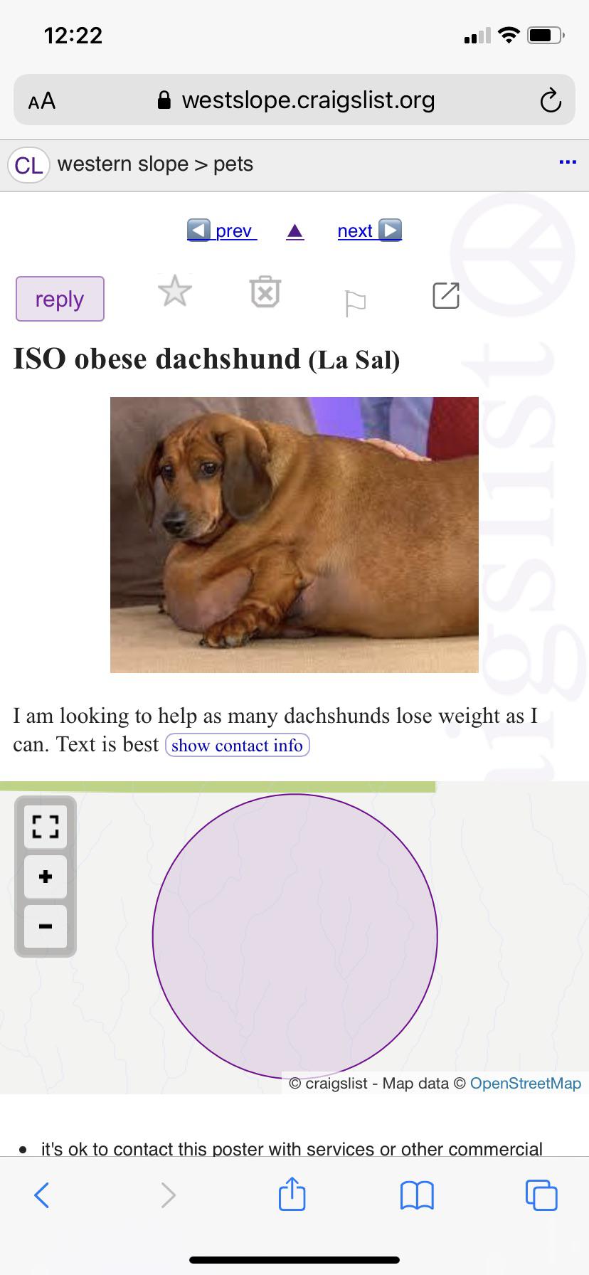 Ads from Craigslist that make you say "WTF!?"