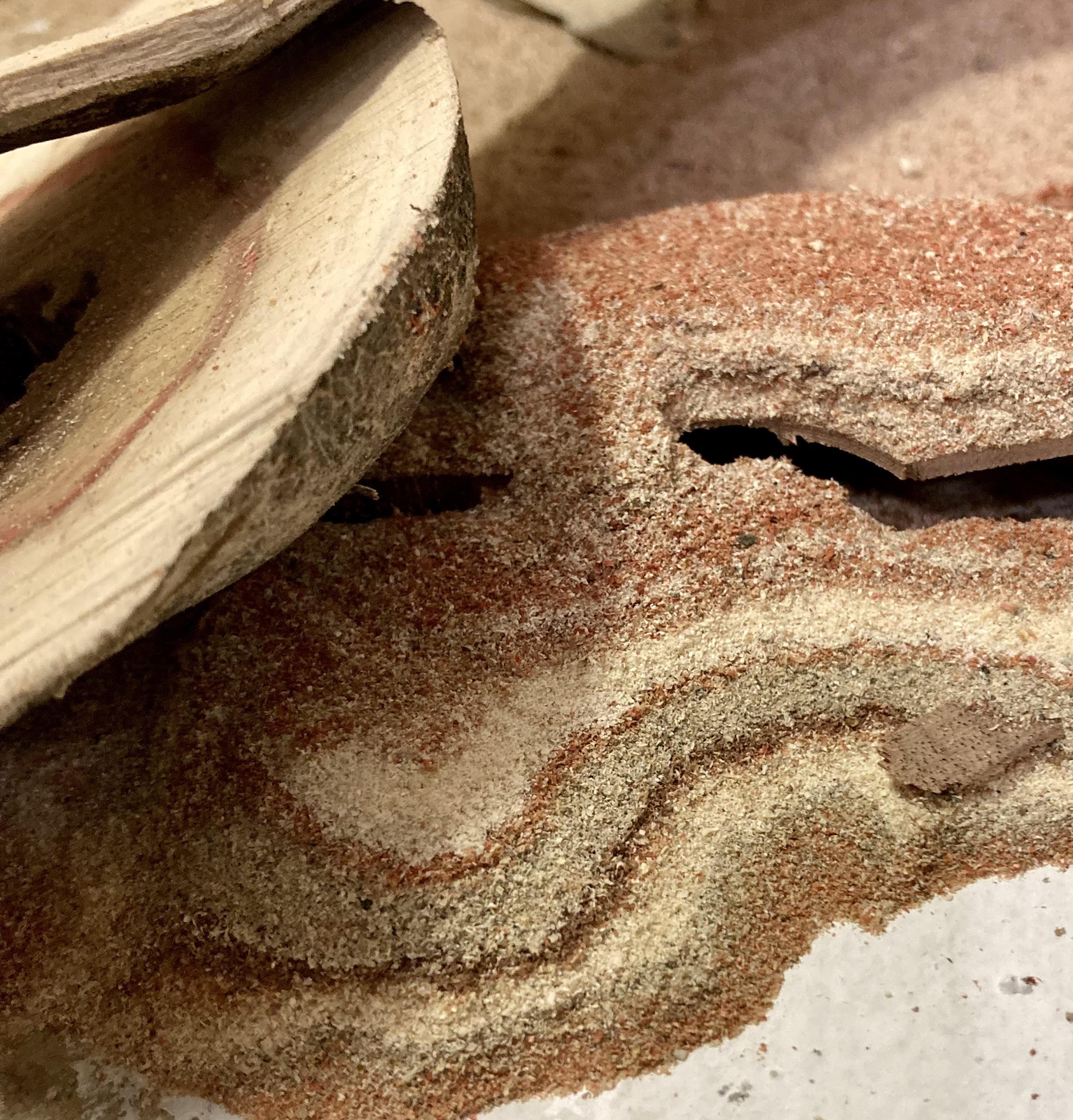 The sawdust on my shop floor looks better than anything I built… r