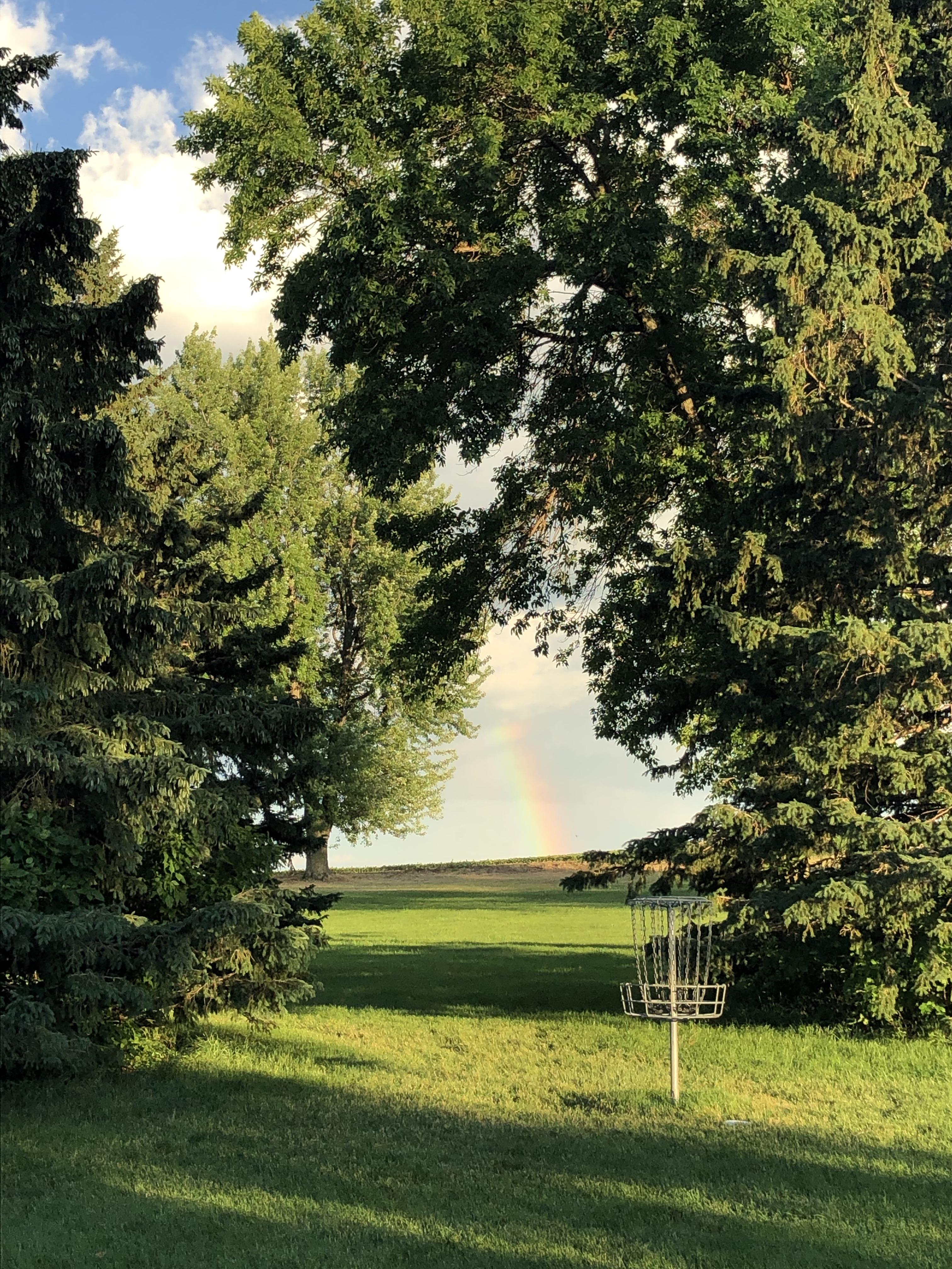 Beautiful round at my local course, Rochester MN. r/discgolf