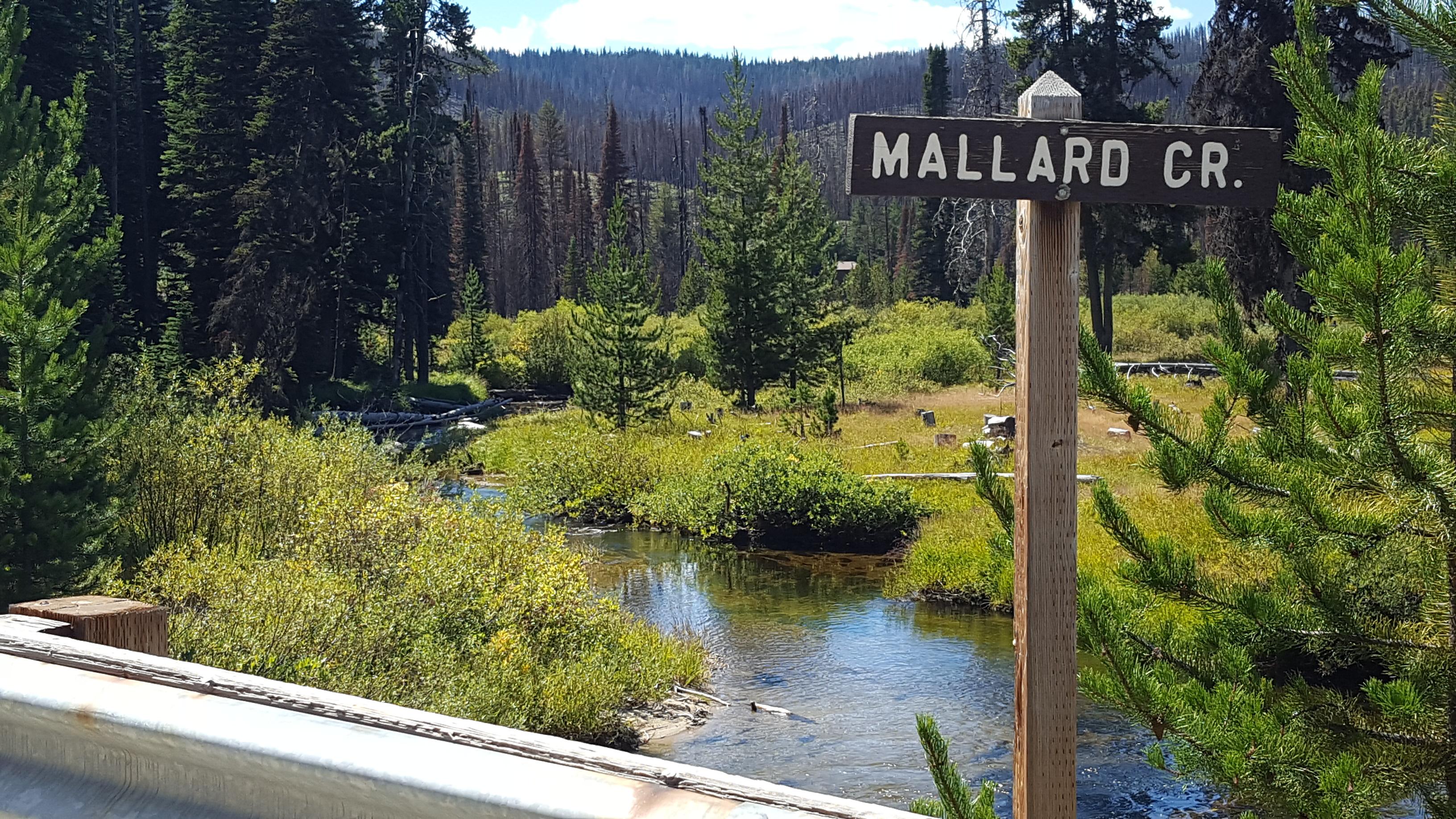My slice of heaven. Near Dixie, Idaho. r/Idaho