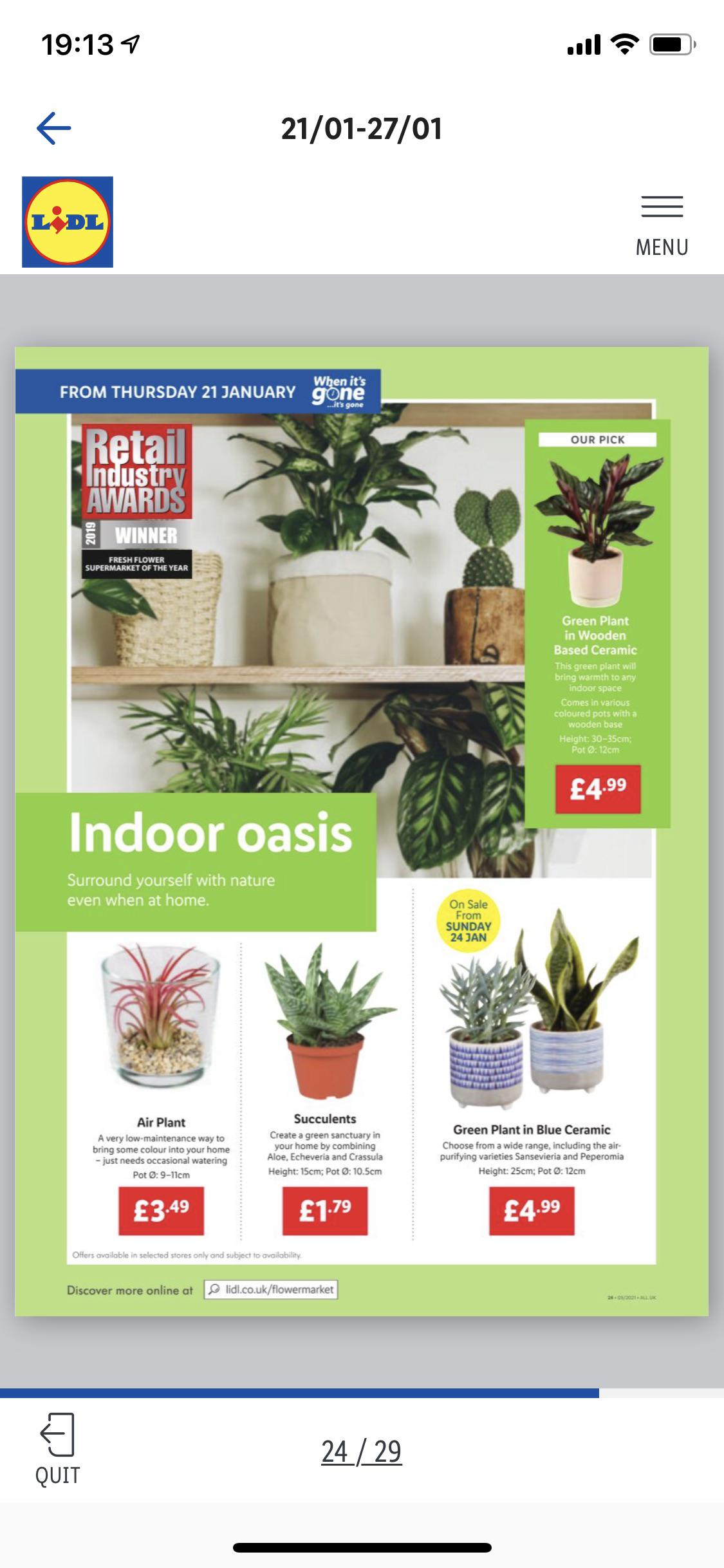 Lidl houseplants from thurs 21 Jan. Includes airplant and succulent
