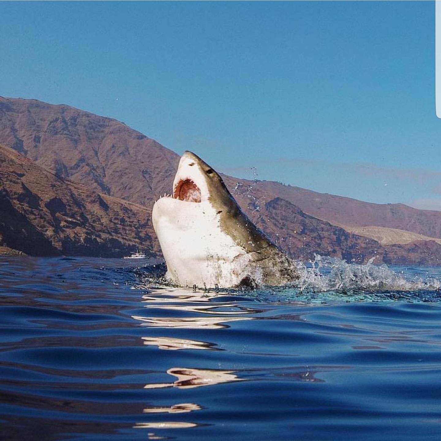 MRW im walking to the bathroom in the middle of the night and i step on