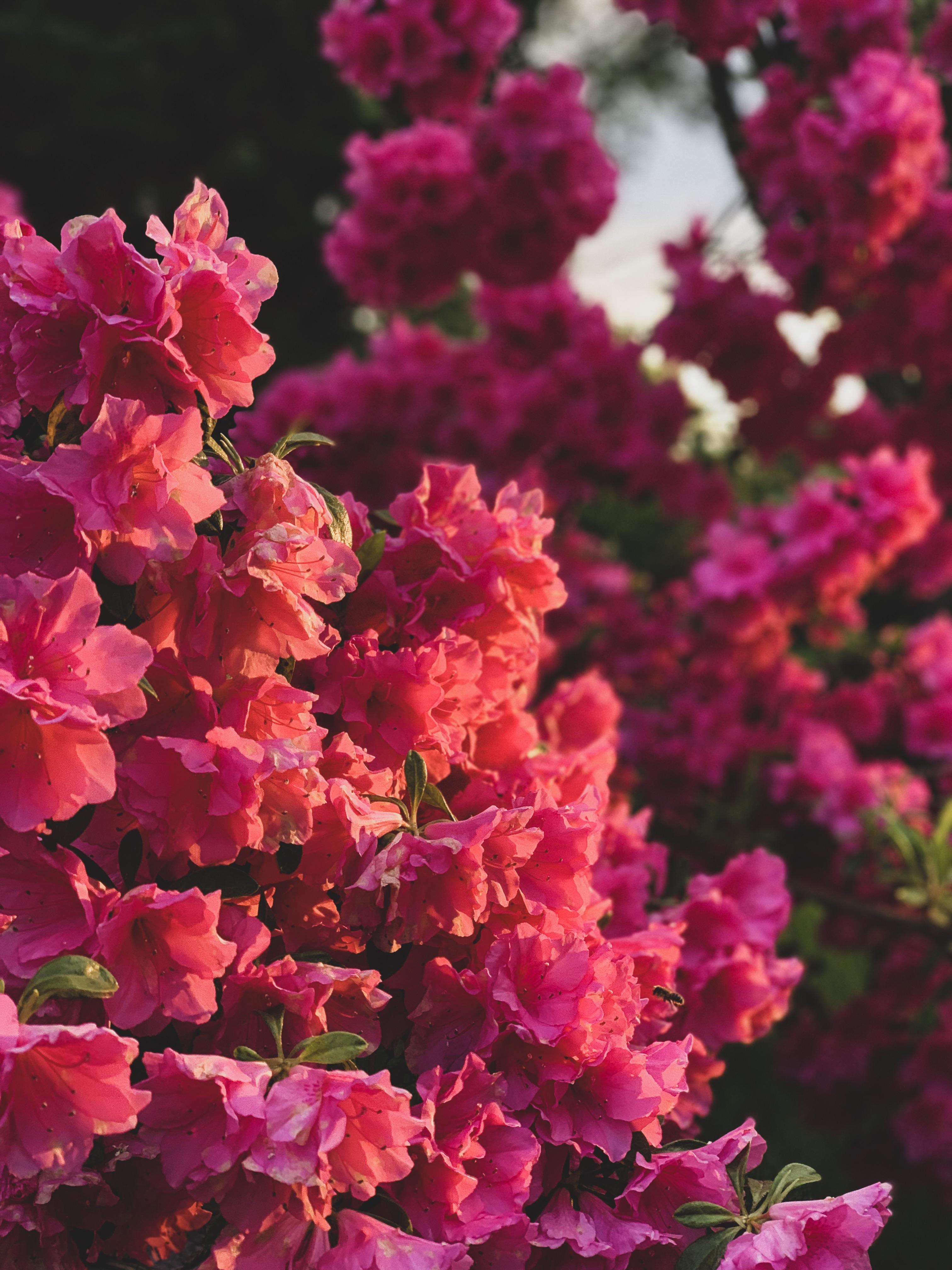 ke wallpaper download 1920x1080 1080p laptop