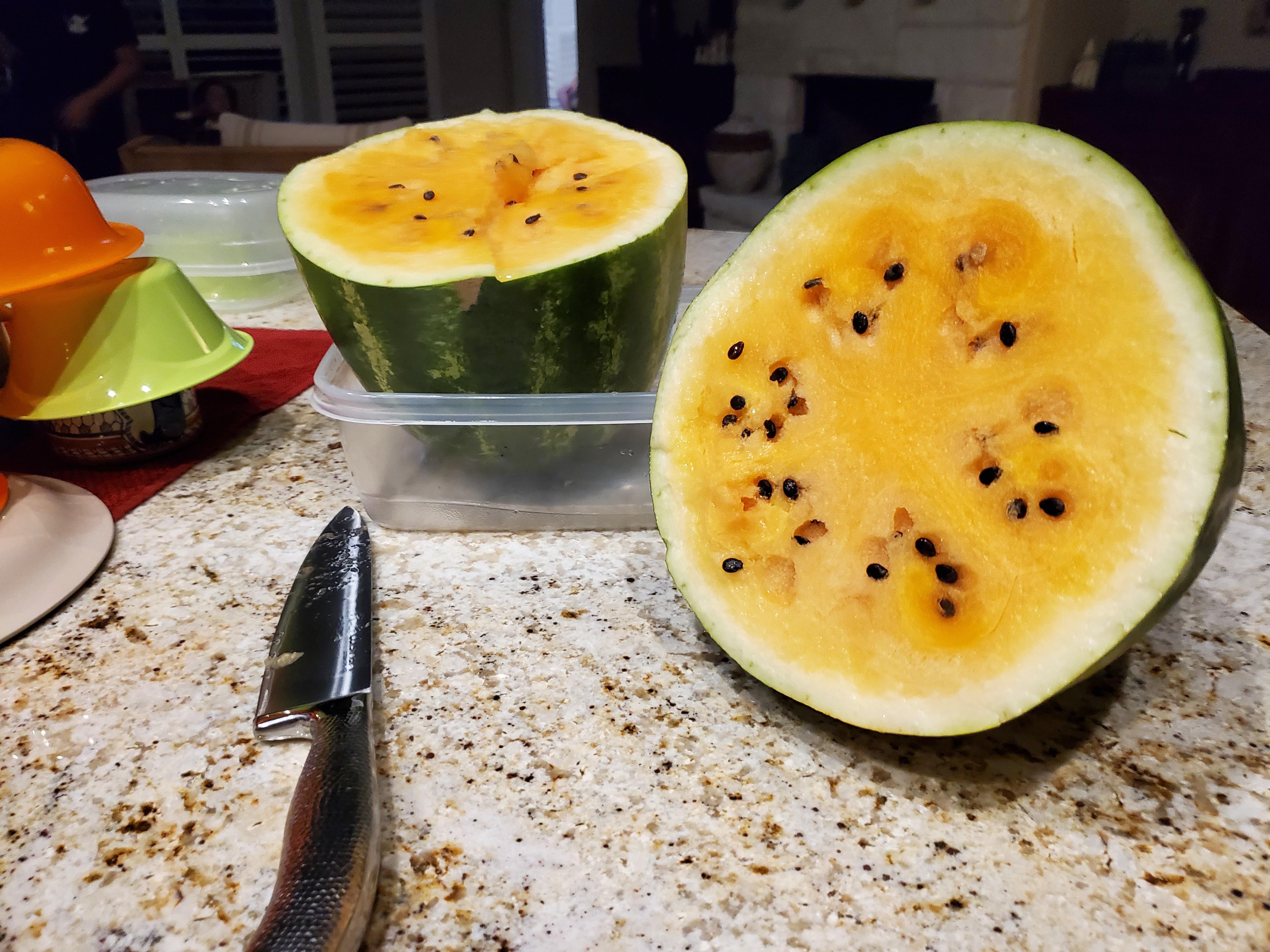 Just cut into this orange watermelon. Never have I ever seen this