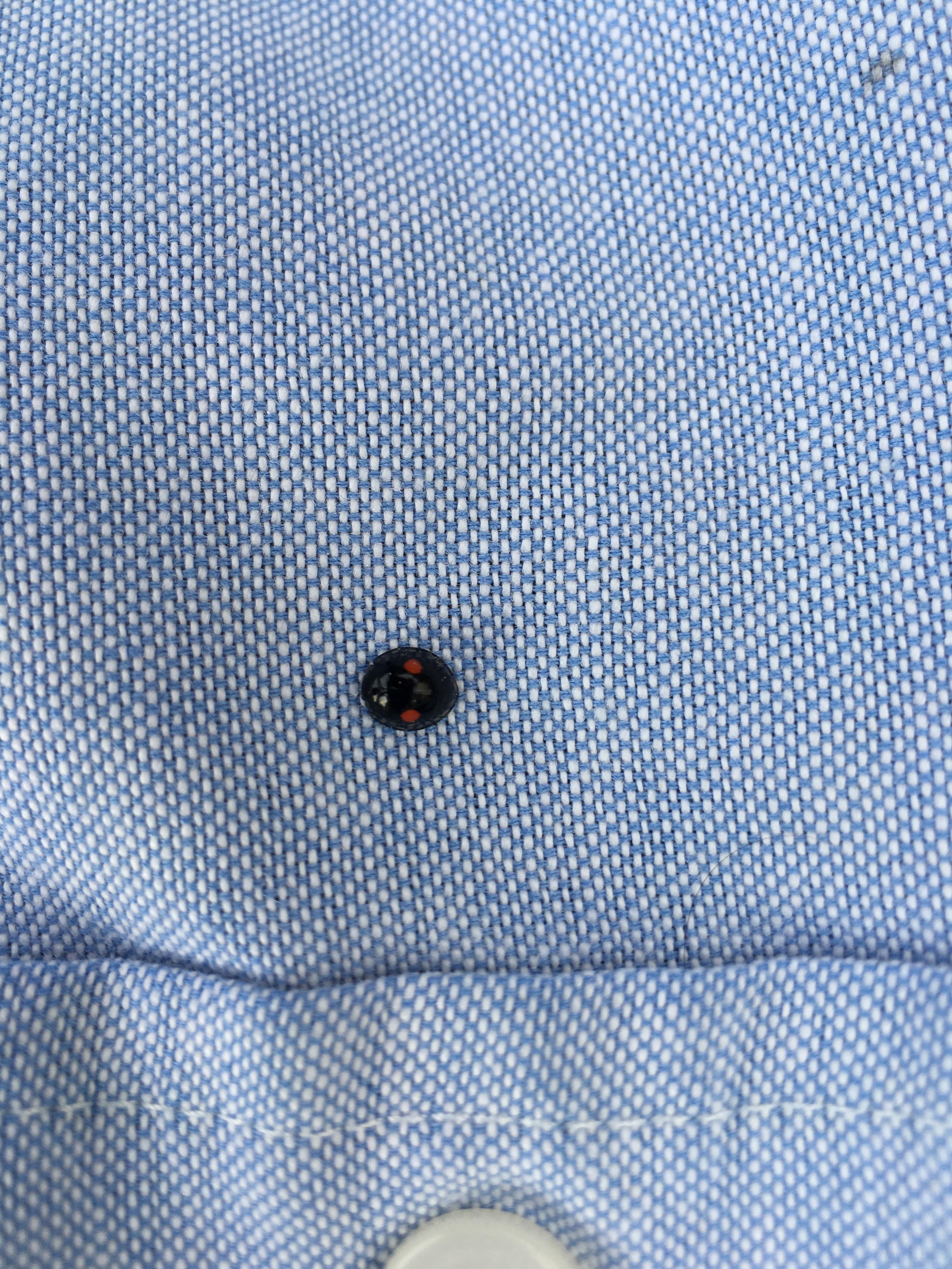 Ladybug landed on me. Is this the equivalent to an Albino for ladybugs