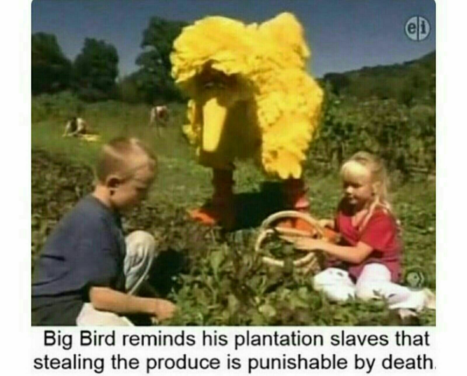 Big Bird is such a good "employer" dankmemes