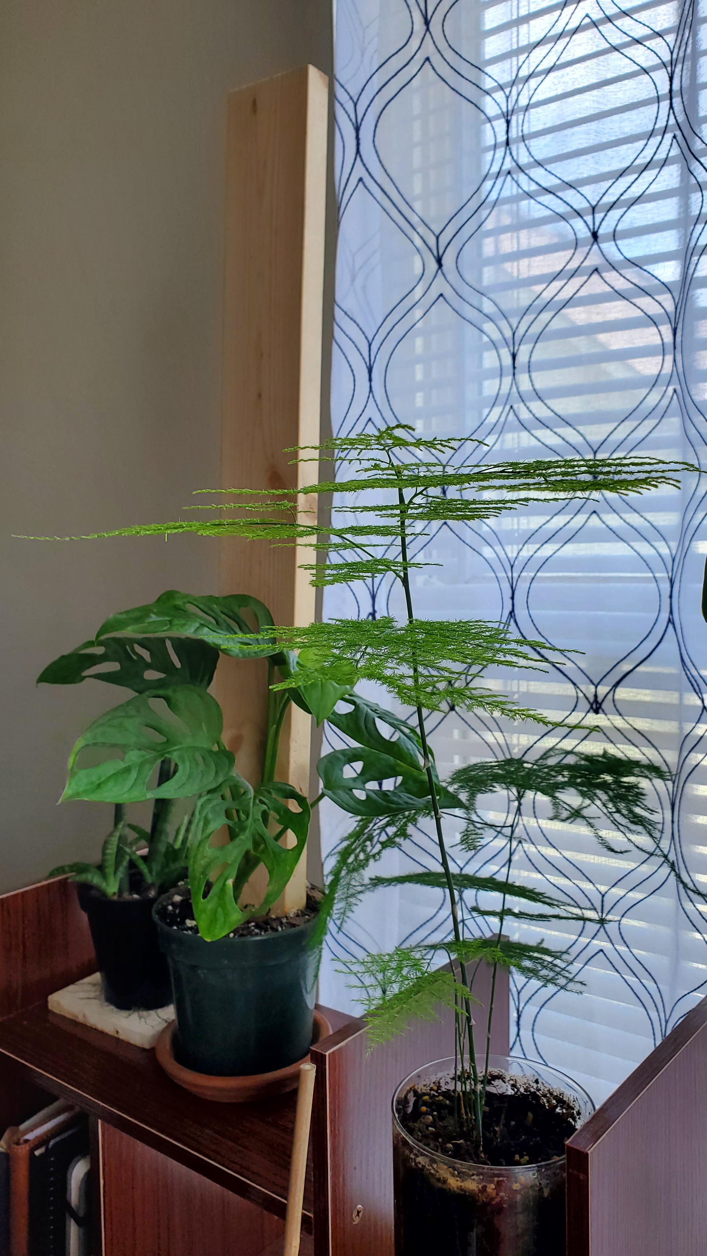 plants_n_gardening subreddits curated by /u/aPlumbusAmumbus