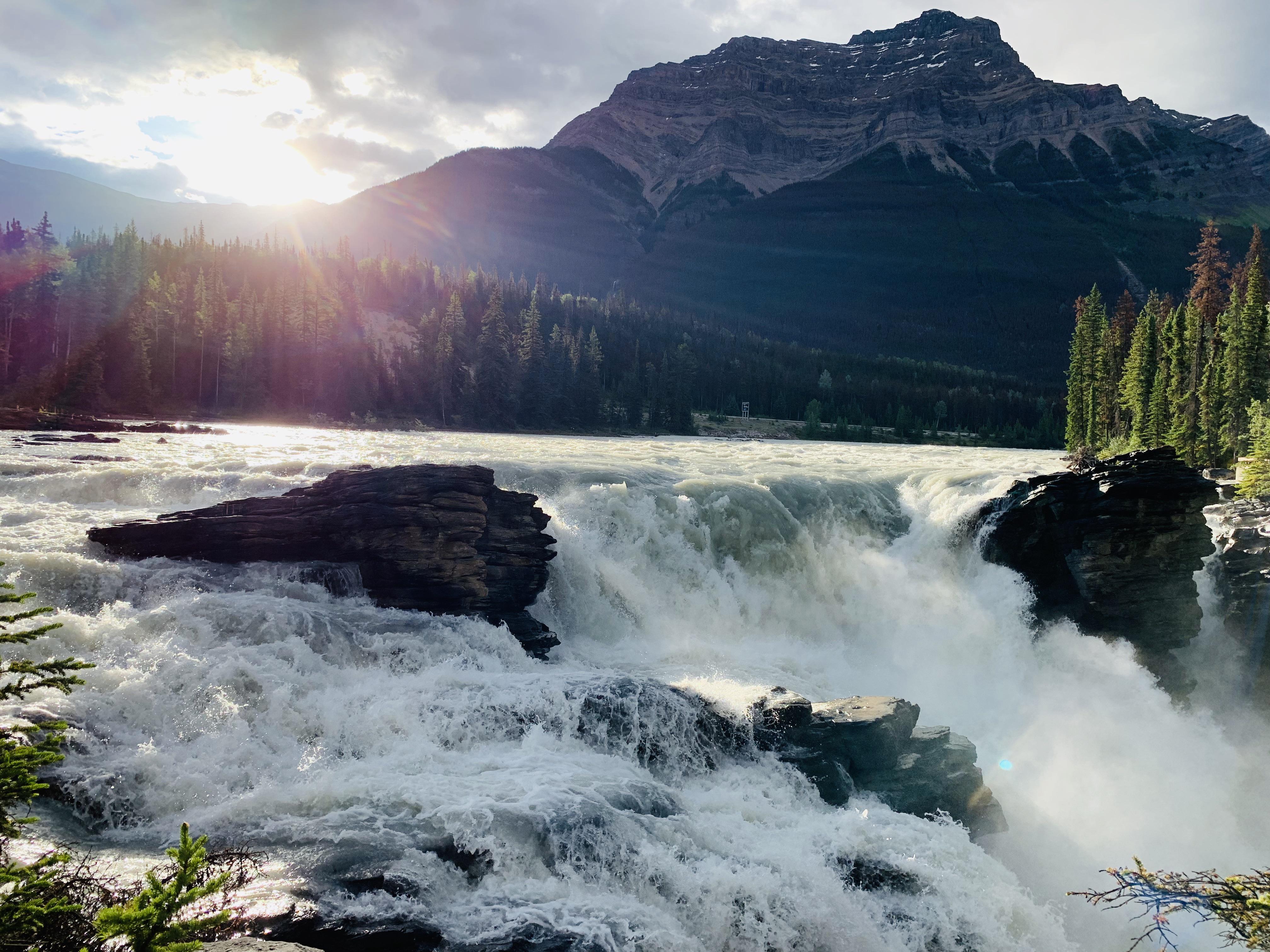 Sunwapta Falls just after sunrise. Alberta, Canada. (4032 x 3024) [OC