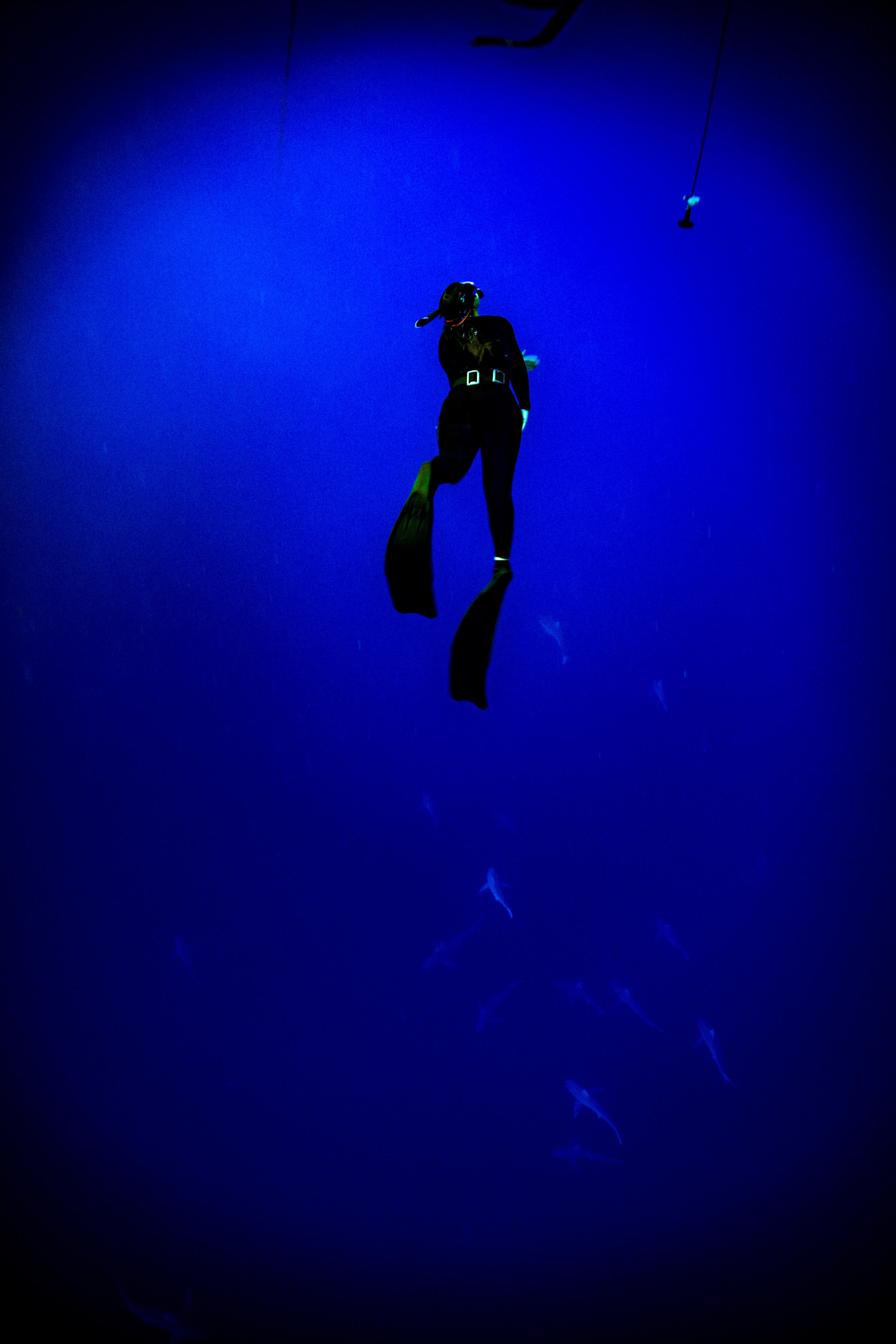 Don't dive too deep... r/thalassophobia