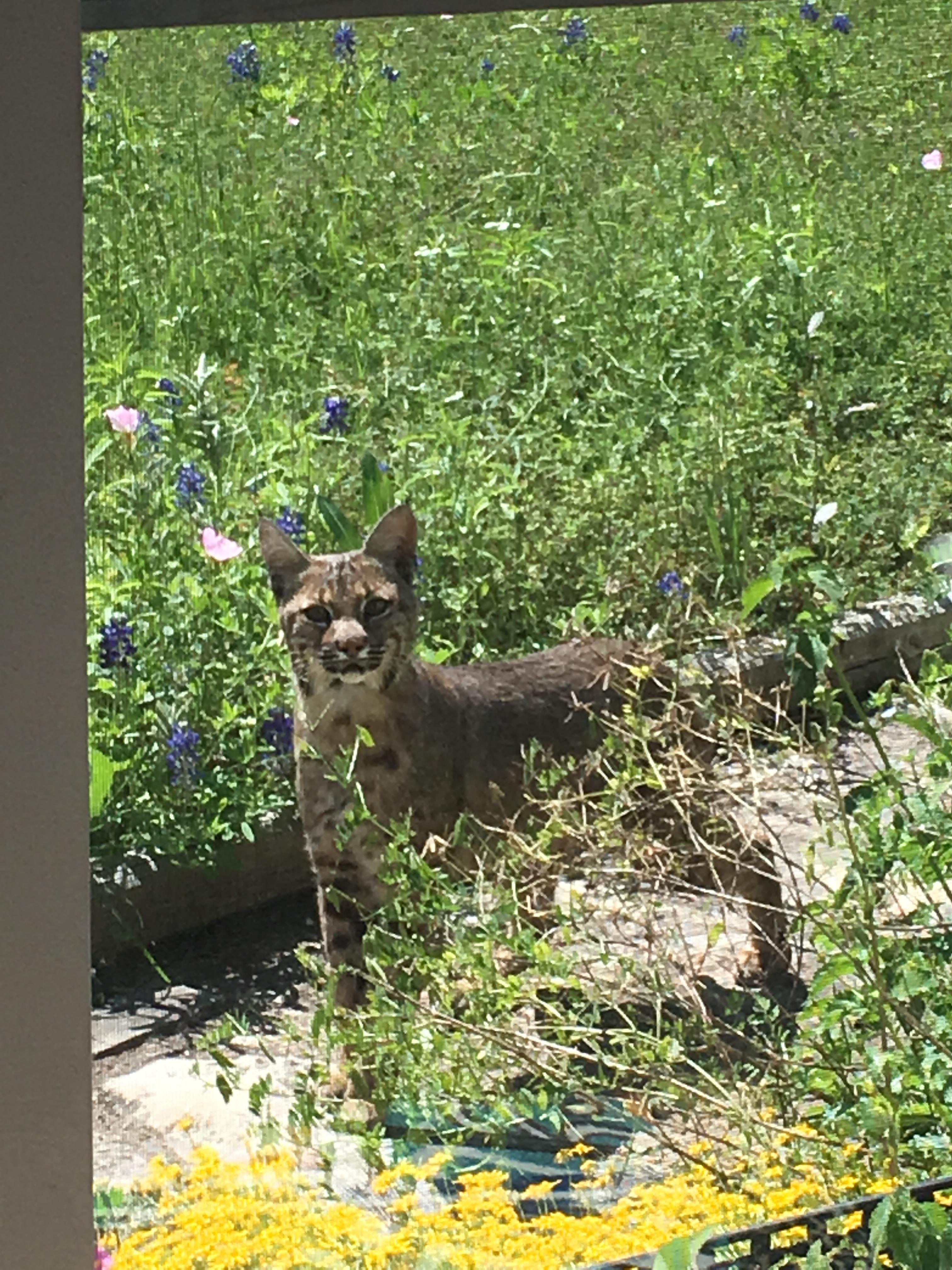 Old hunting photo of my Pops. Film developed in Feb 1967. Hunting trip