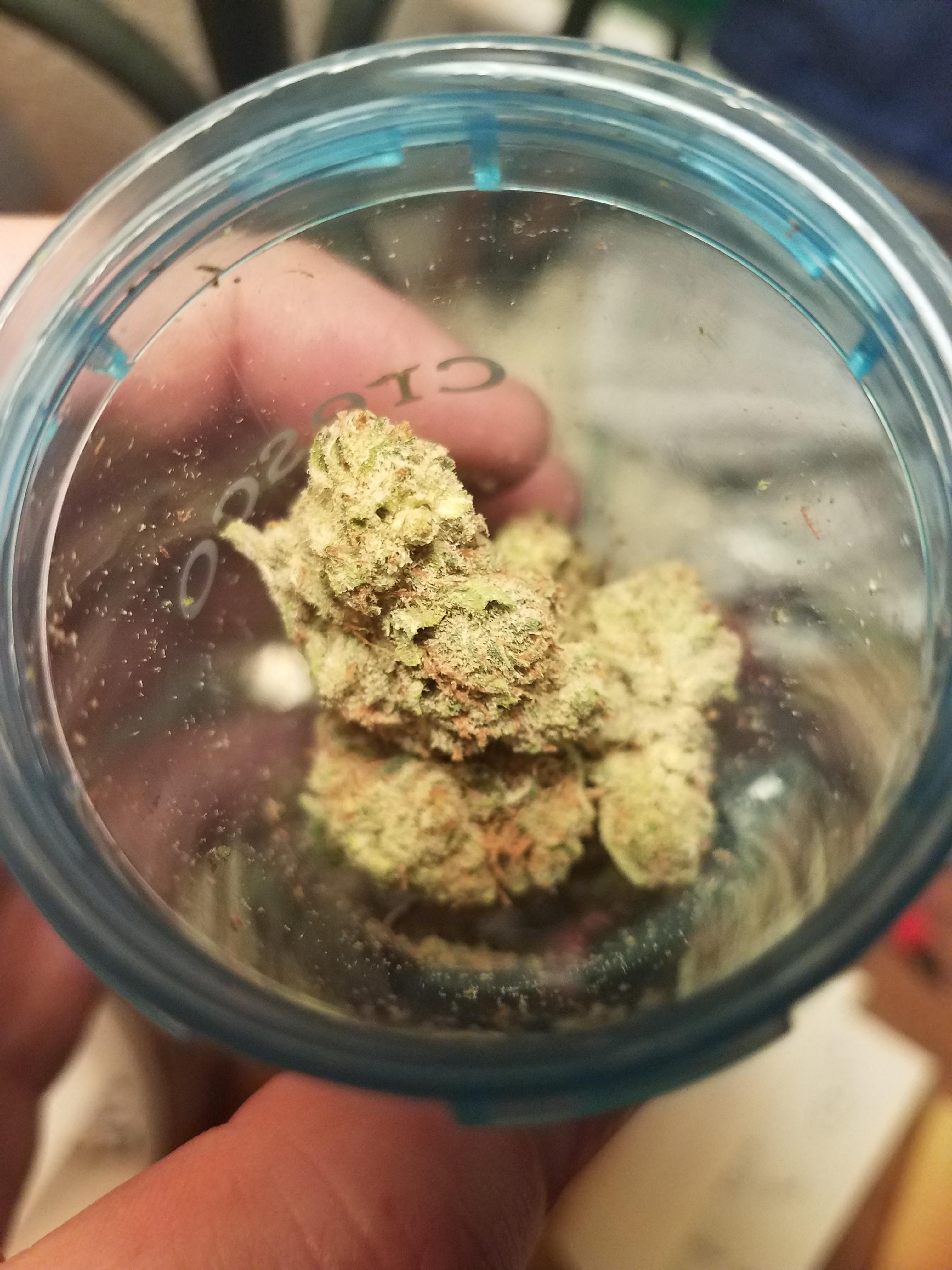 lime sorbet from cresco r/ILTrees