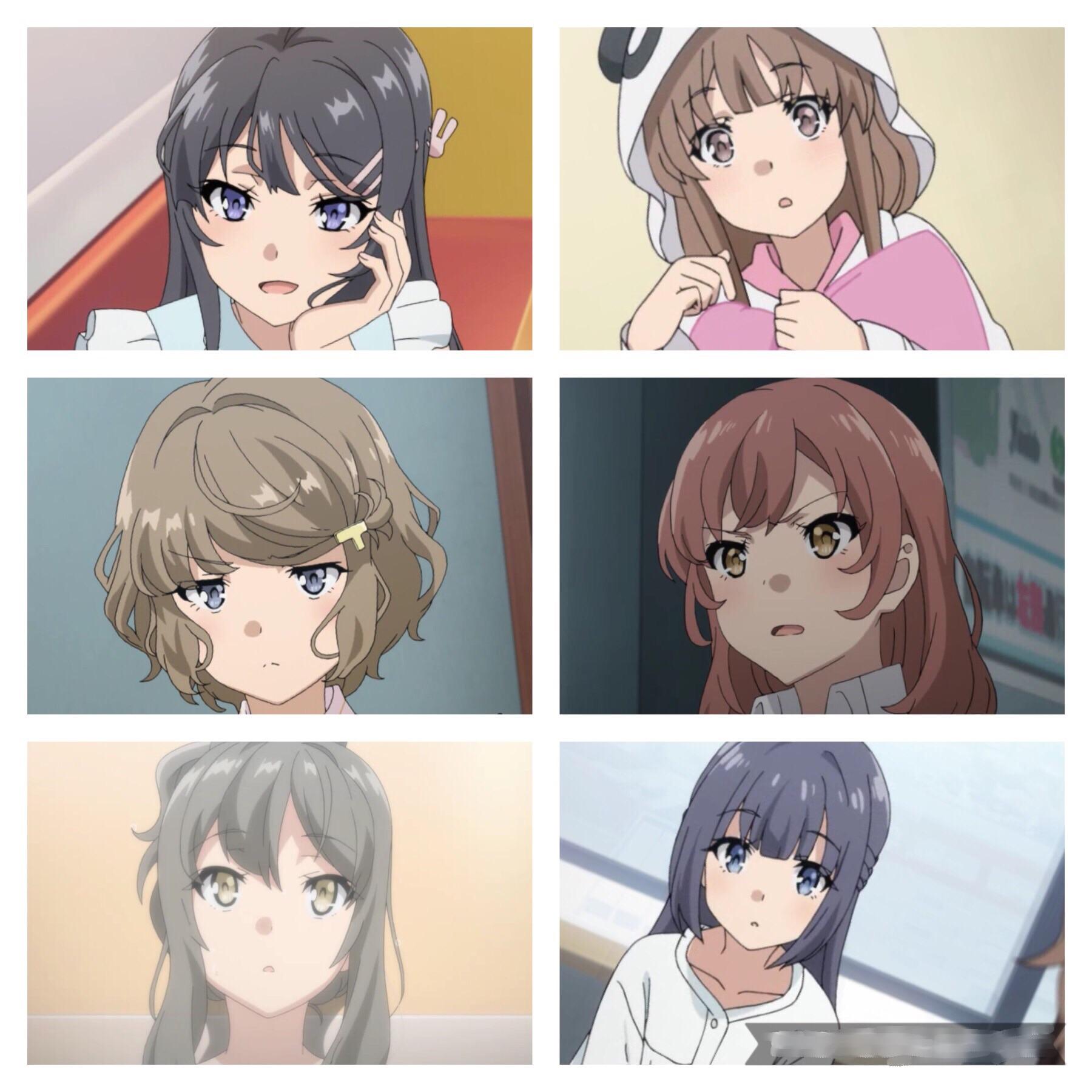 Who is best girl ? r/SeishunButaYarou