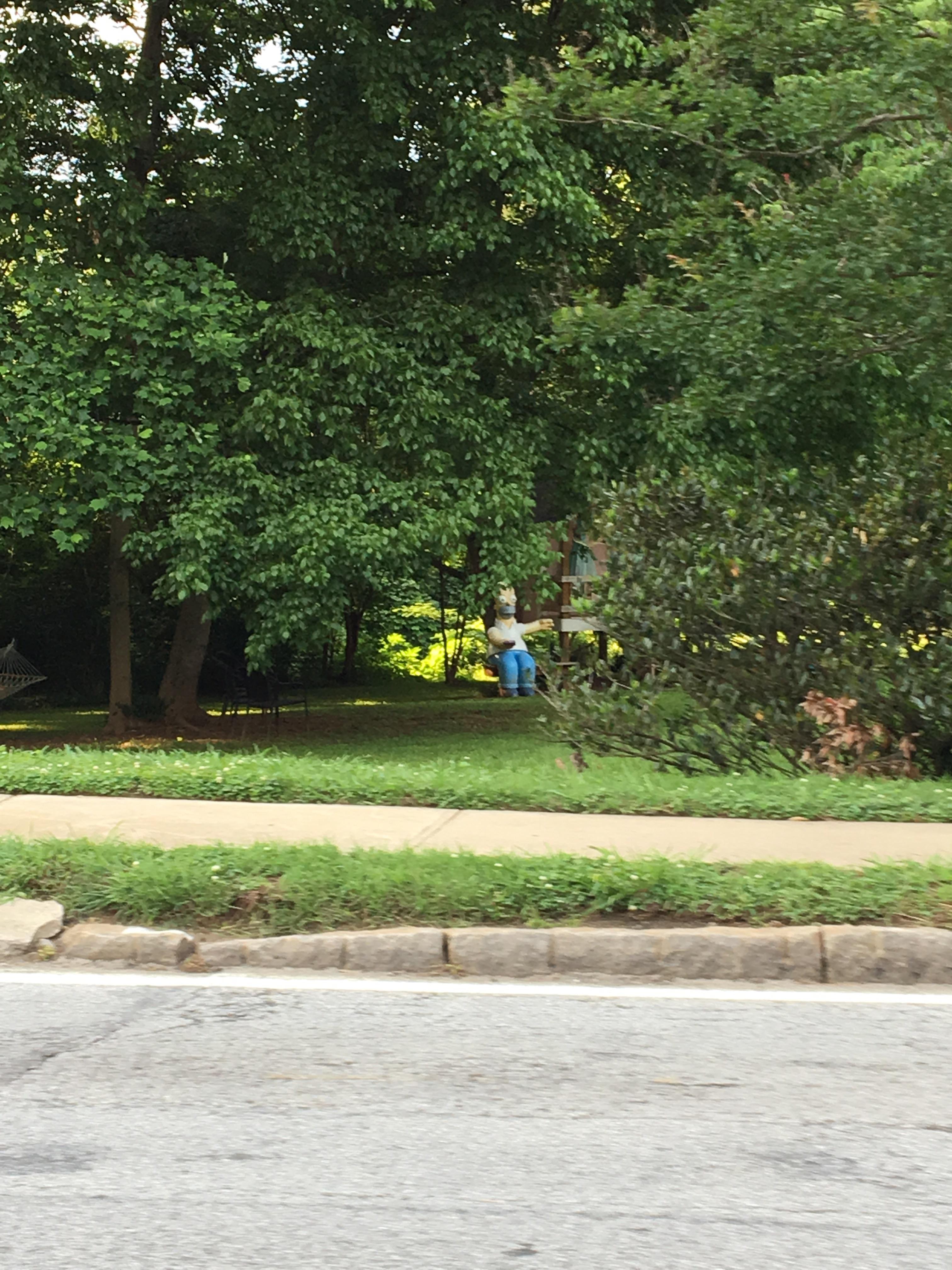 Backyard Homer. Atlanta. r/TheSimpsons