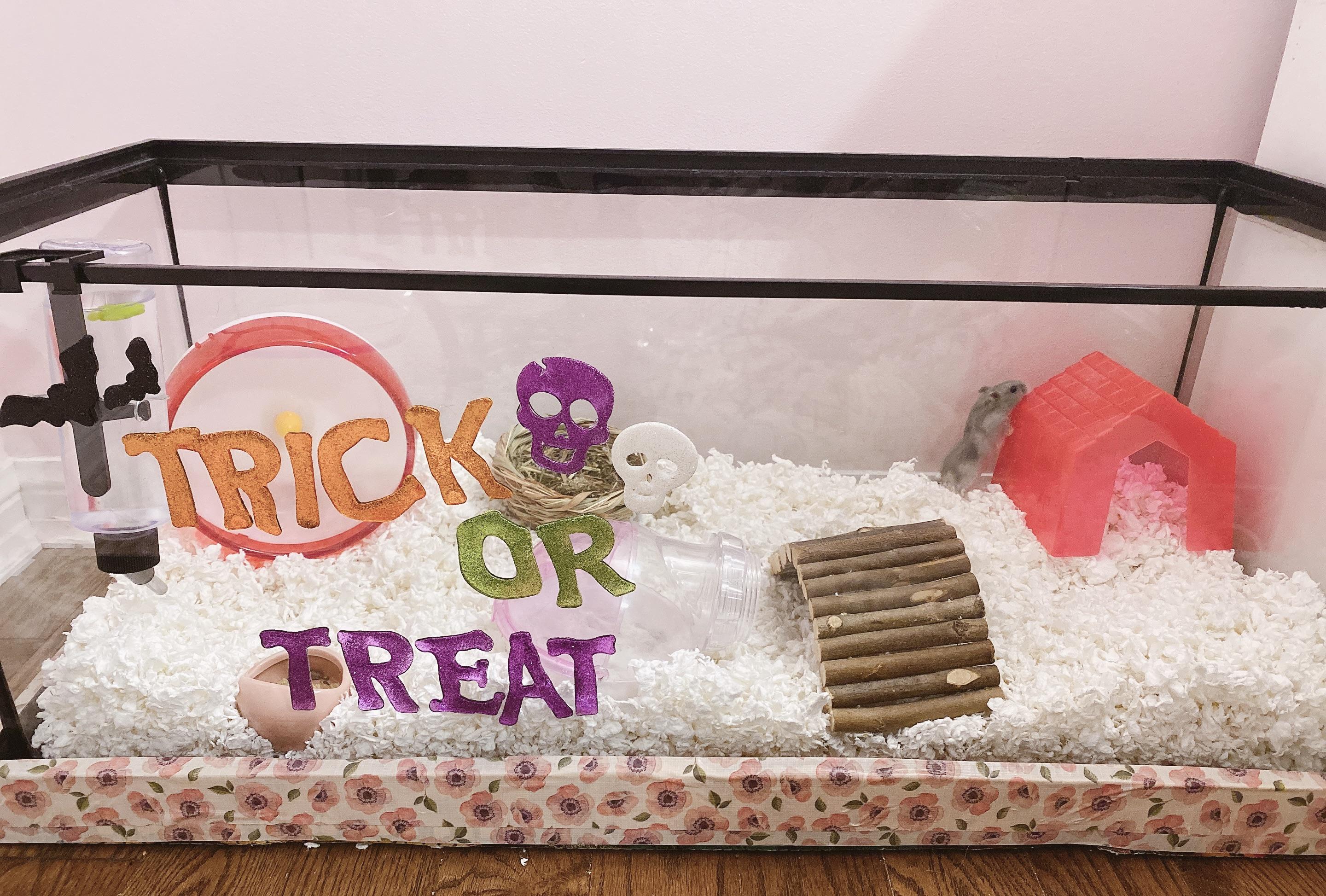 Keep Hamster warm in winter? Should I put fleece fabric at the bottom