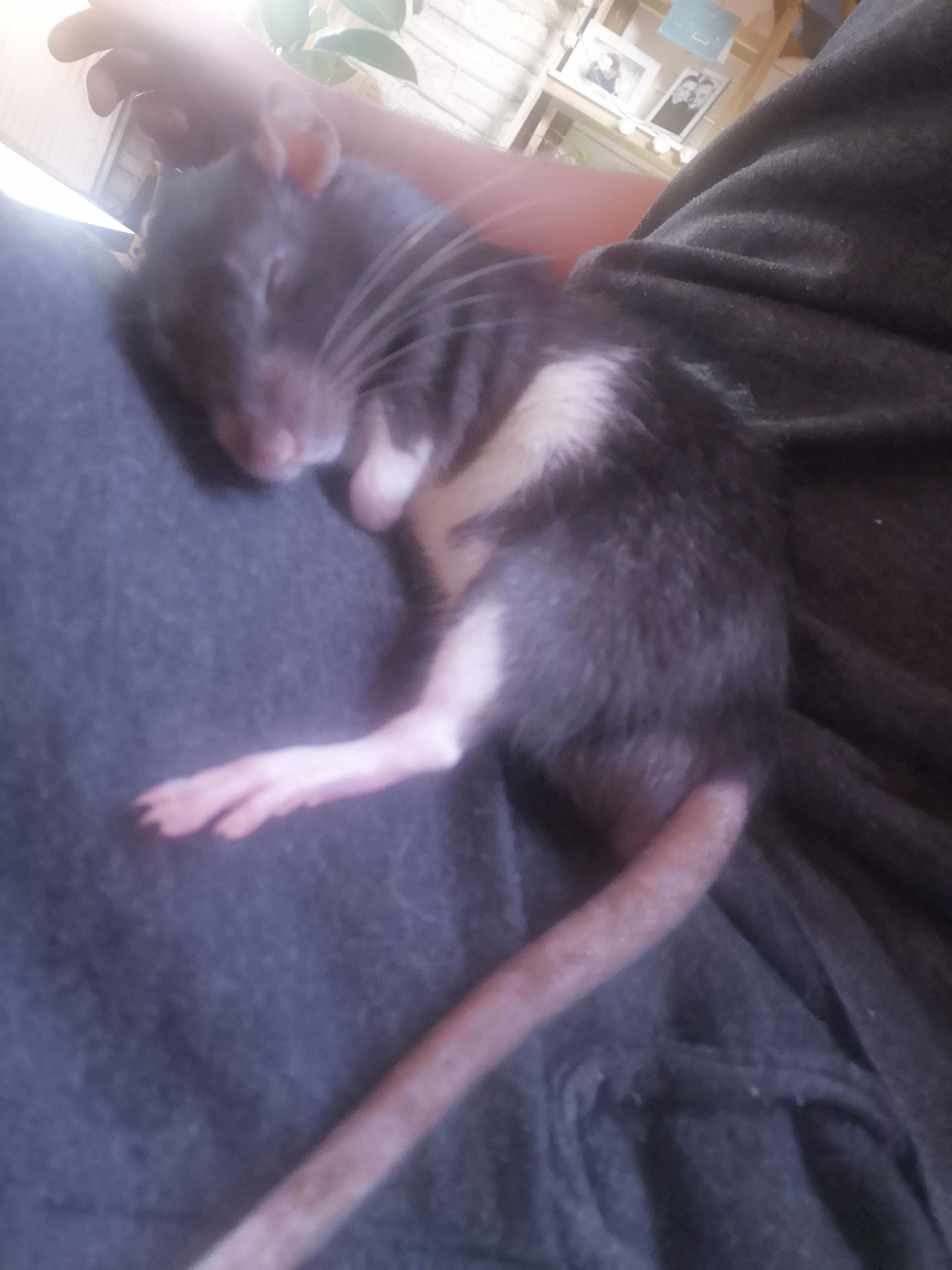 I assume I have achieved the highest level of trust you can get from