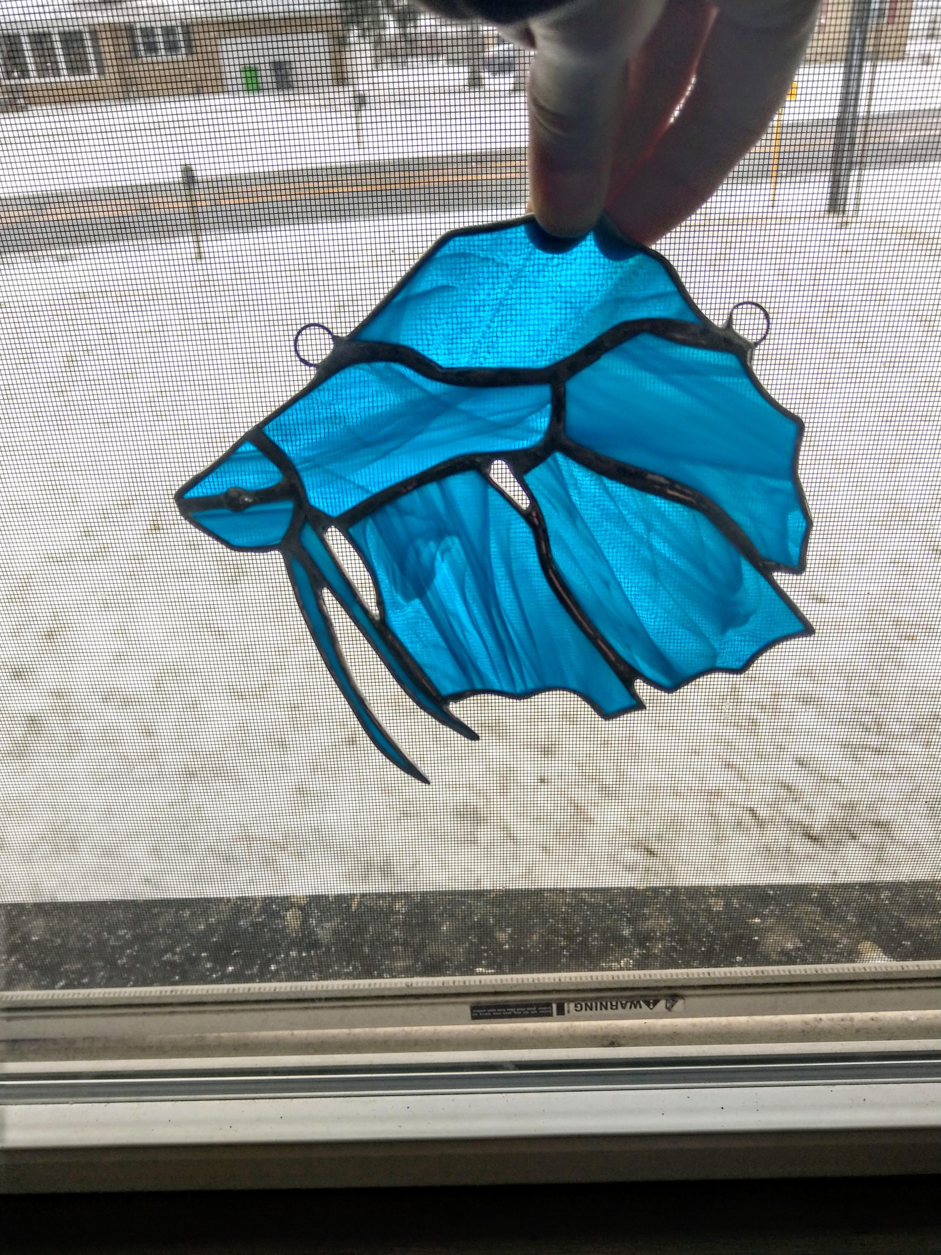 My wife made a stained glass Betta fish, I thought you all might like