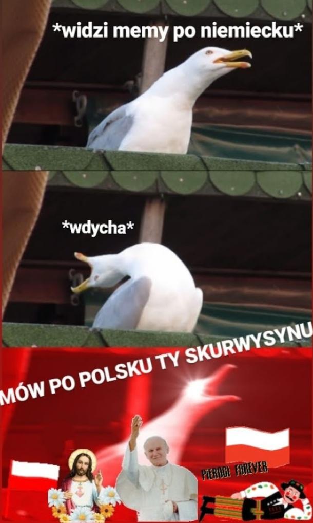 MÓW PO POLSKU Polska_wpz