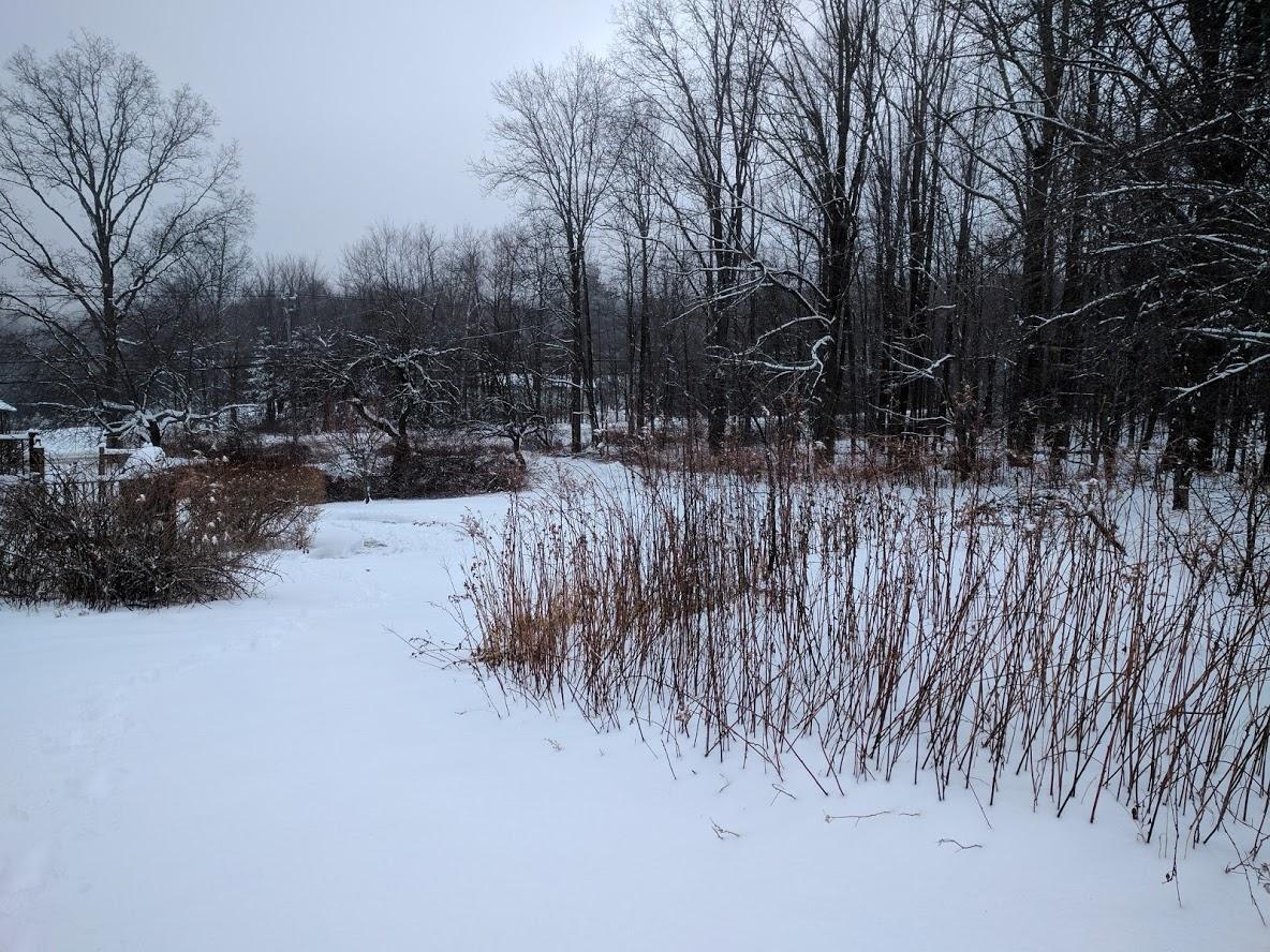 Winter weather in Union, CT...a little over 8 inches. r/Connecticut