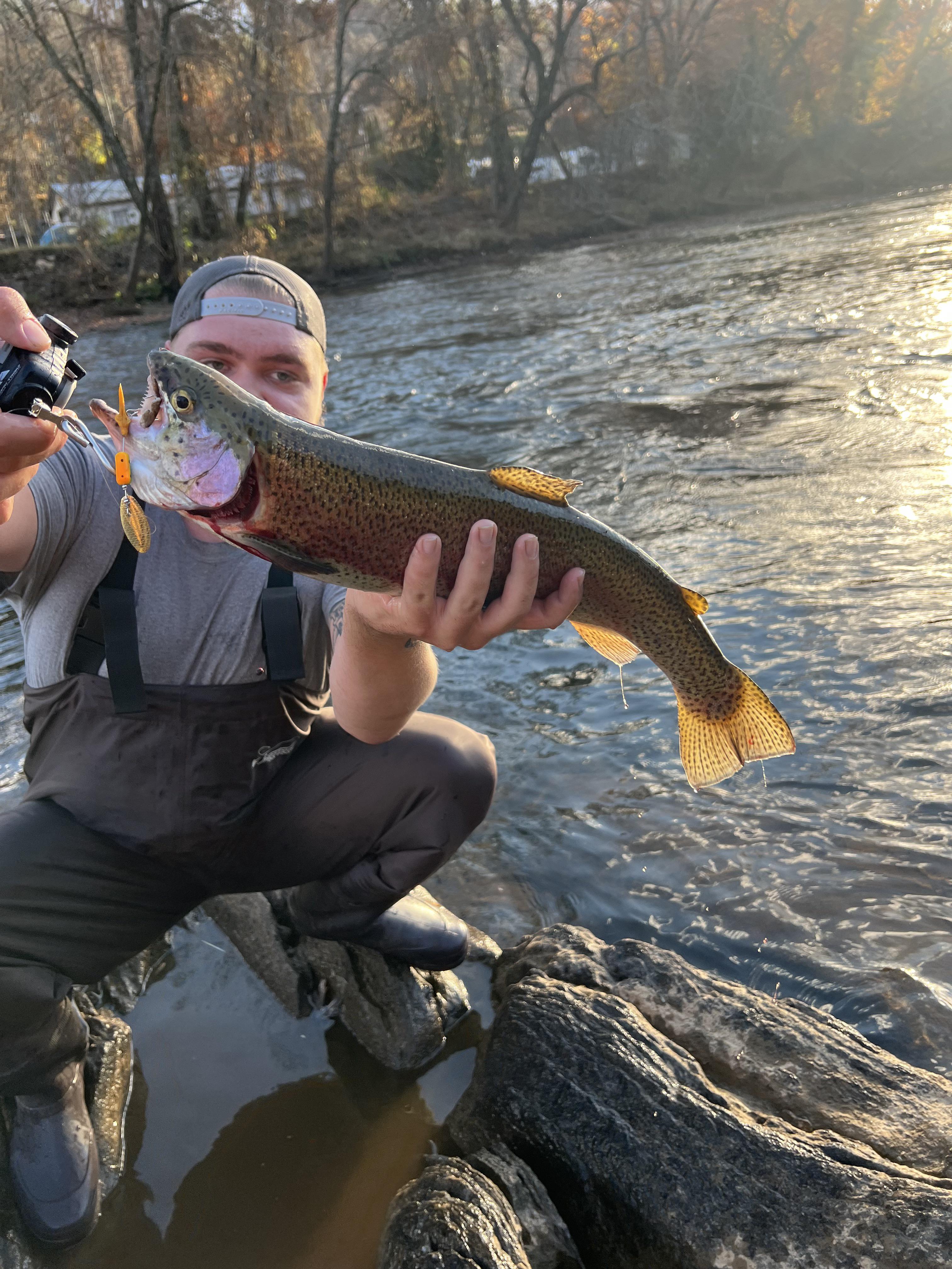 Good trout in Bryson city r/Fishing