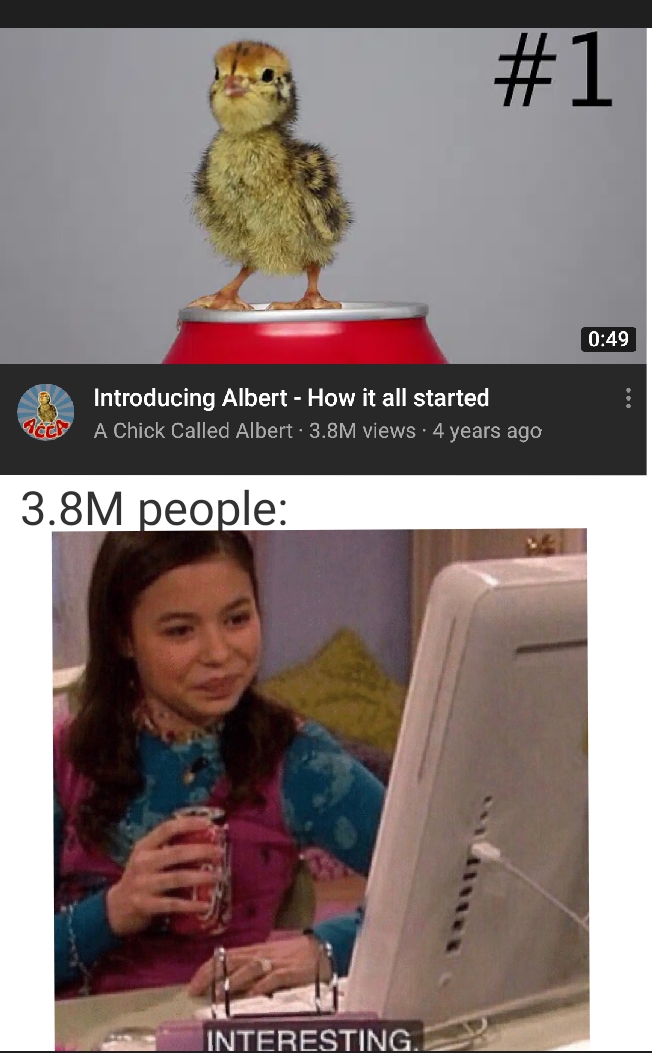 A Chick Called Albert is very interesting. r/memes