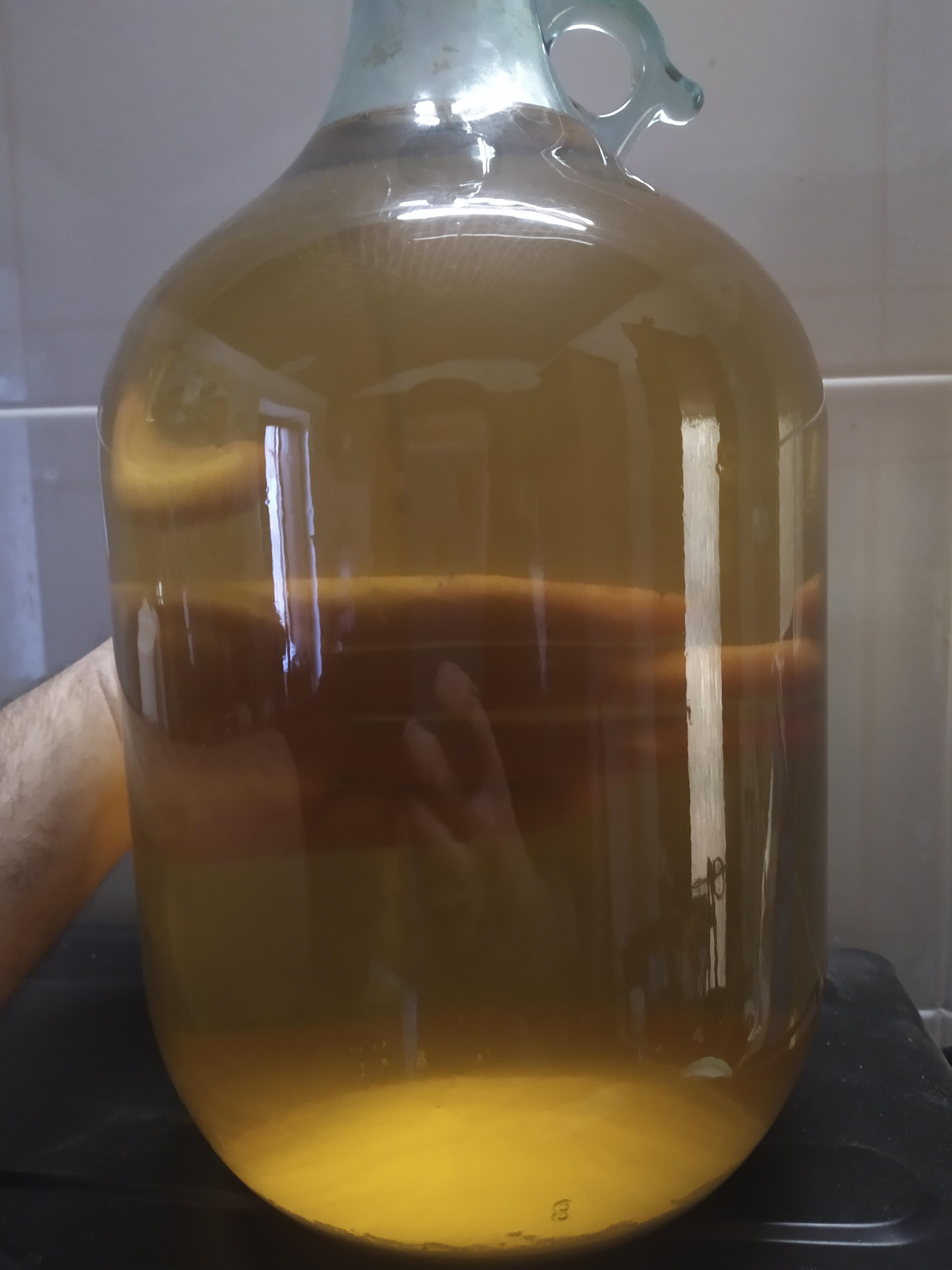 This mead is 1 month old and a couple of days of cold crashing